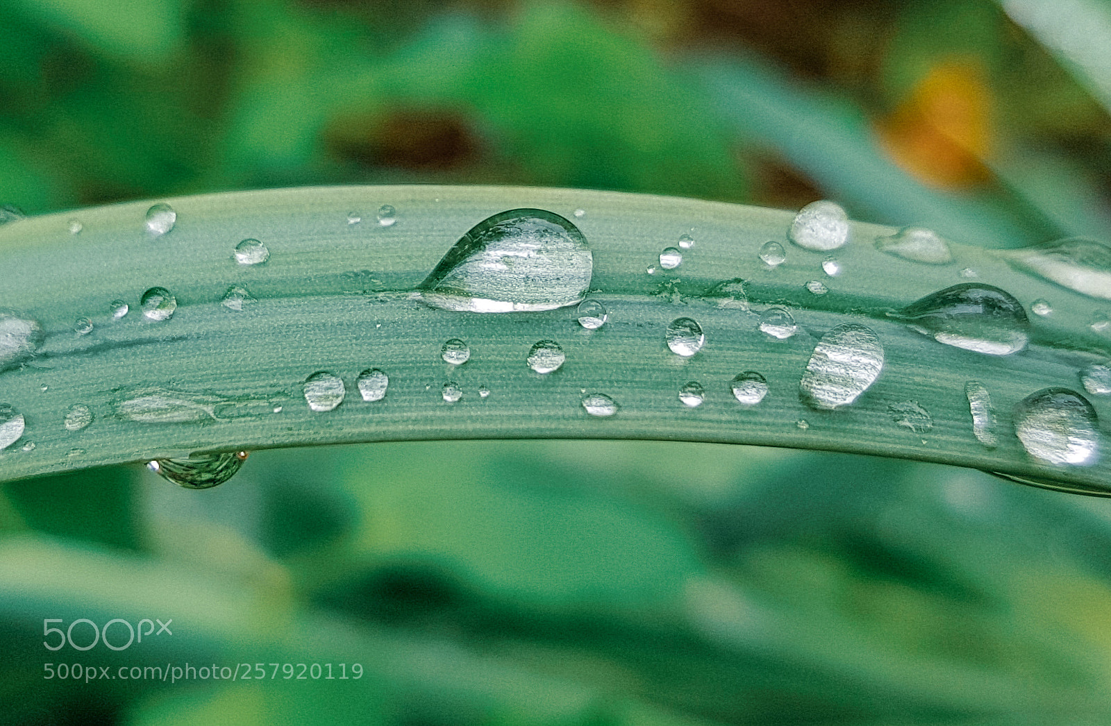 Samsung Galaxy S8 sample photo. It's just another rainy photography