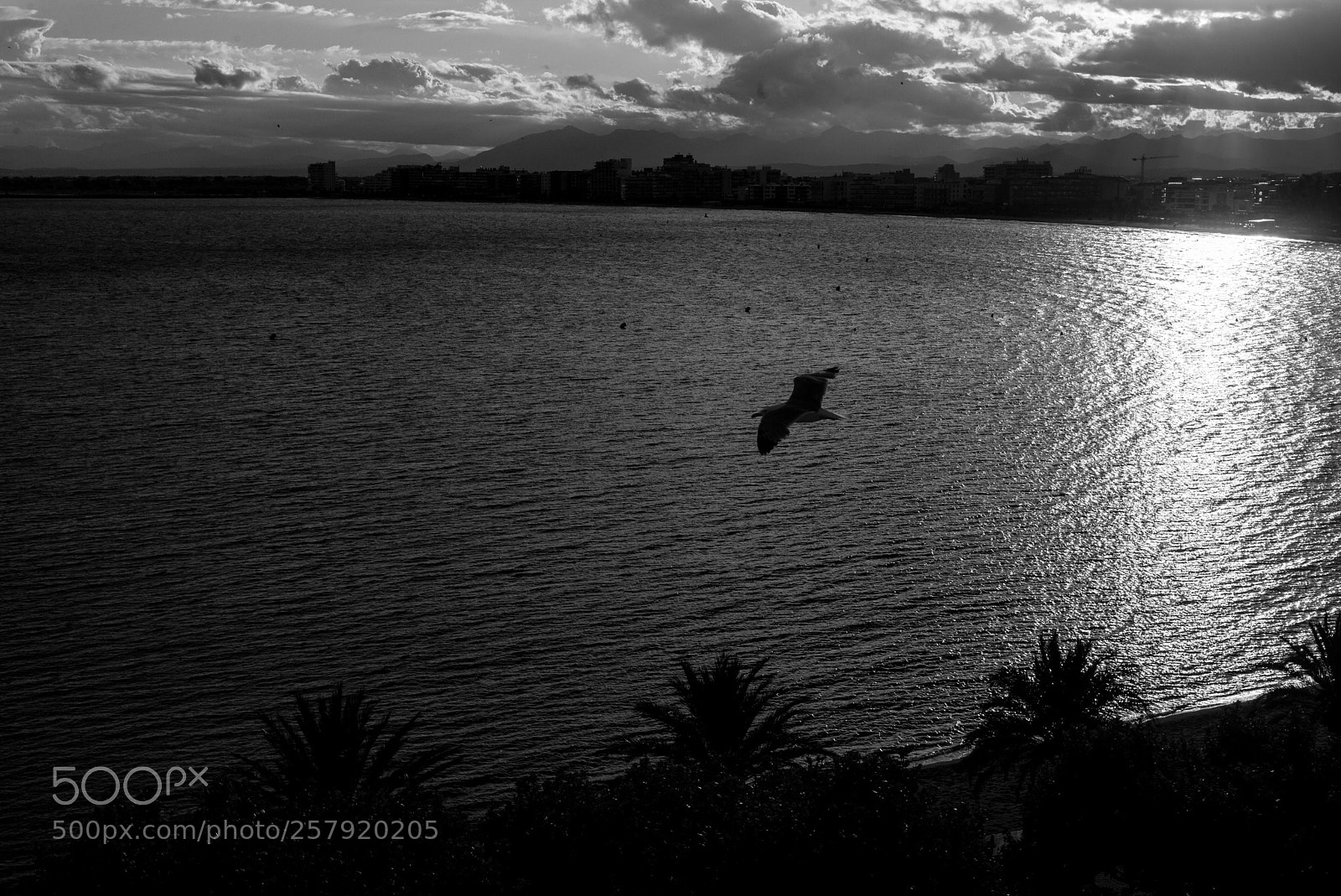 Leica M (Typ 240) sample photo. Sunset photography