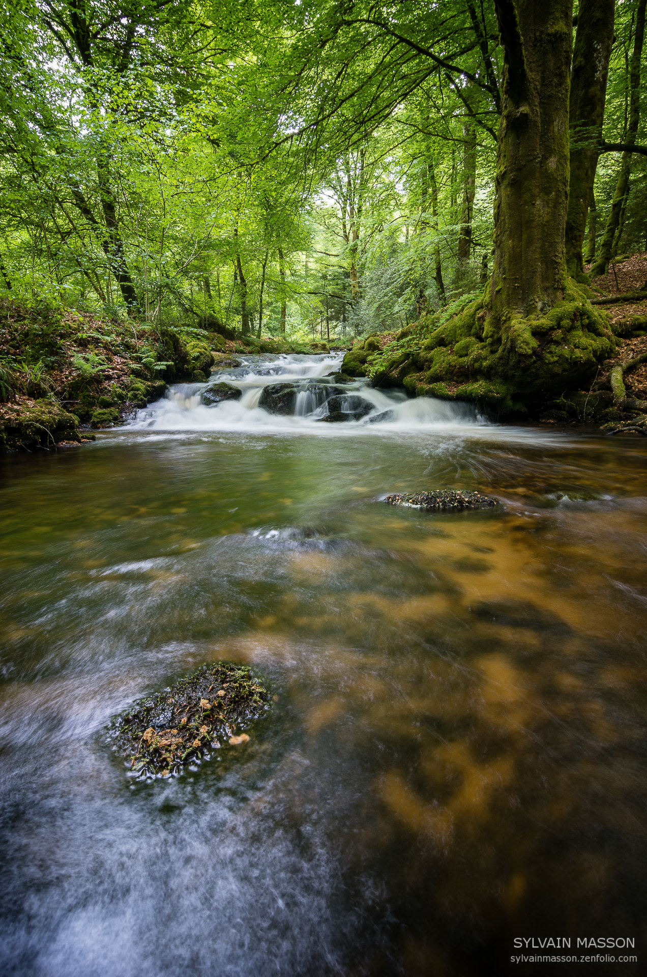 Pentax K-5 II sample photo. Cascade d'augerolles photography