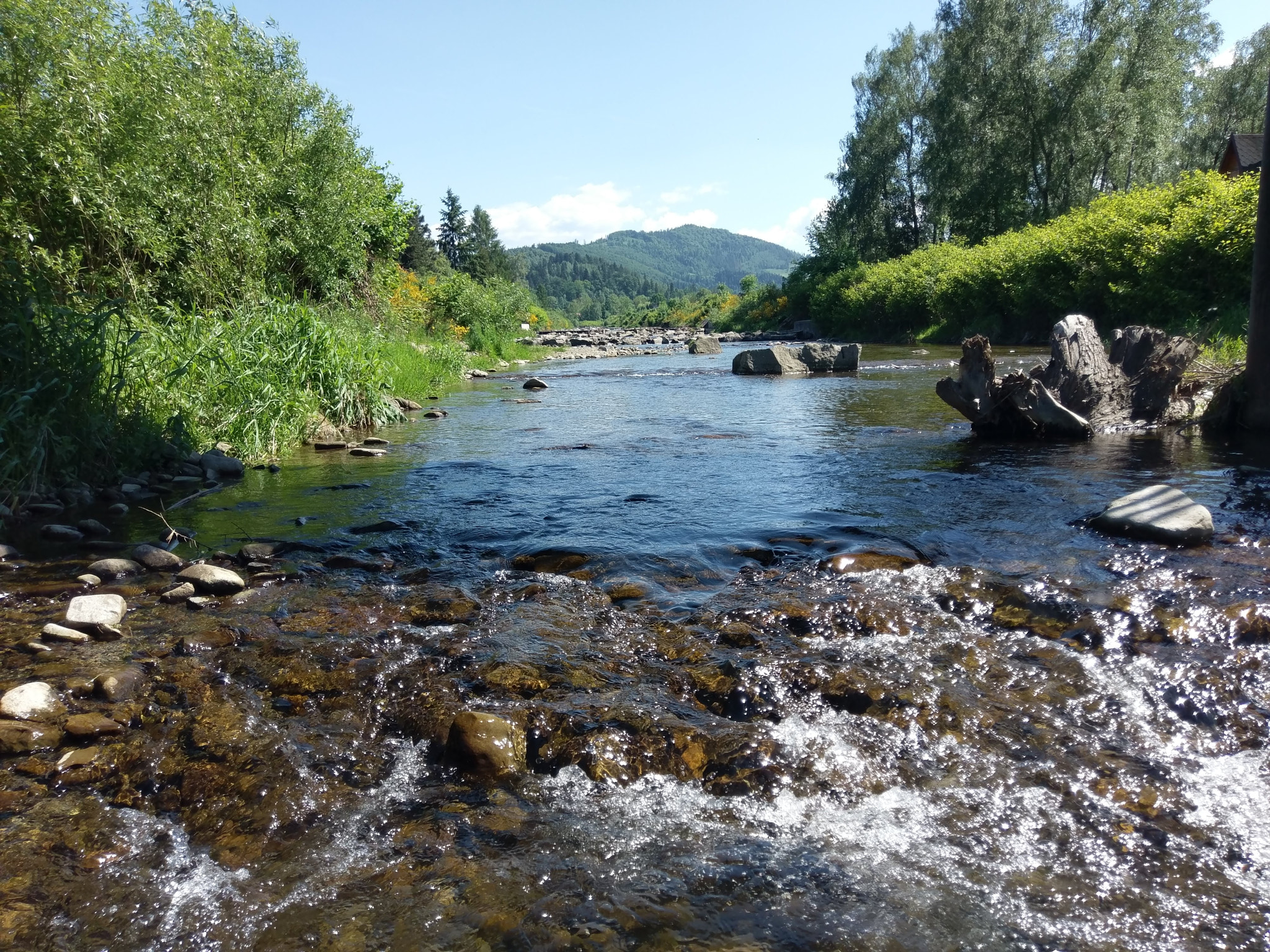 HTC 10 sample photo. River photography