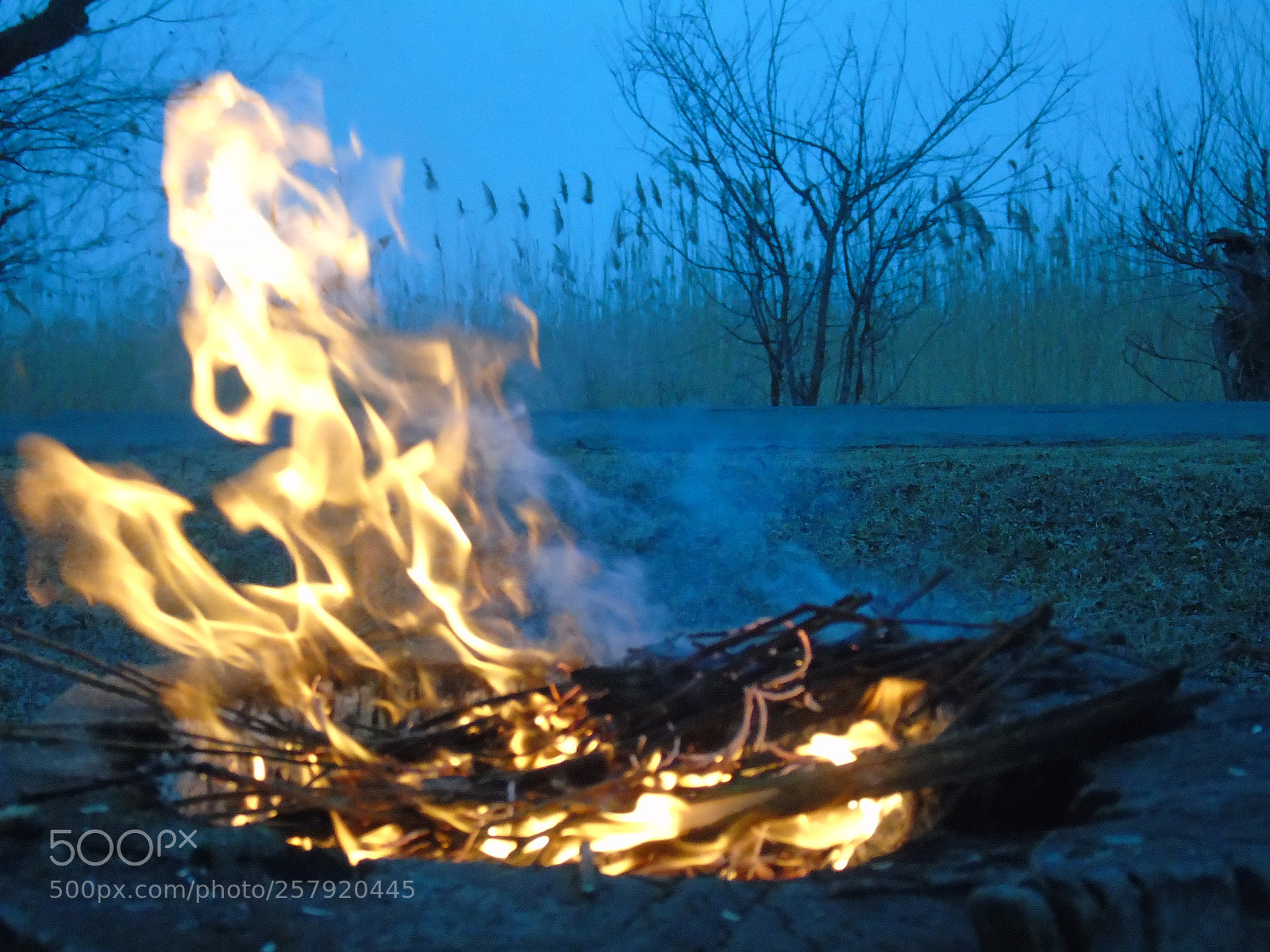 Sony Cyber-shot DSC-H400 sample photo. Dsc photography