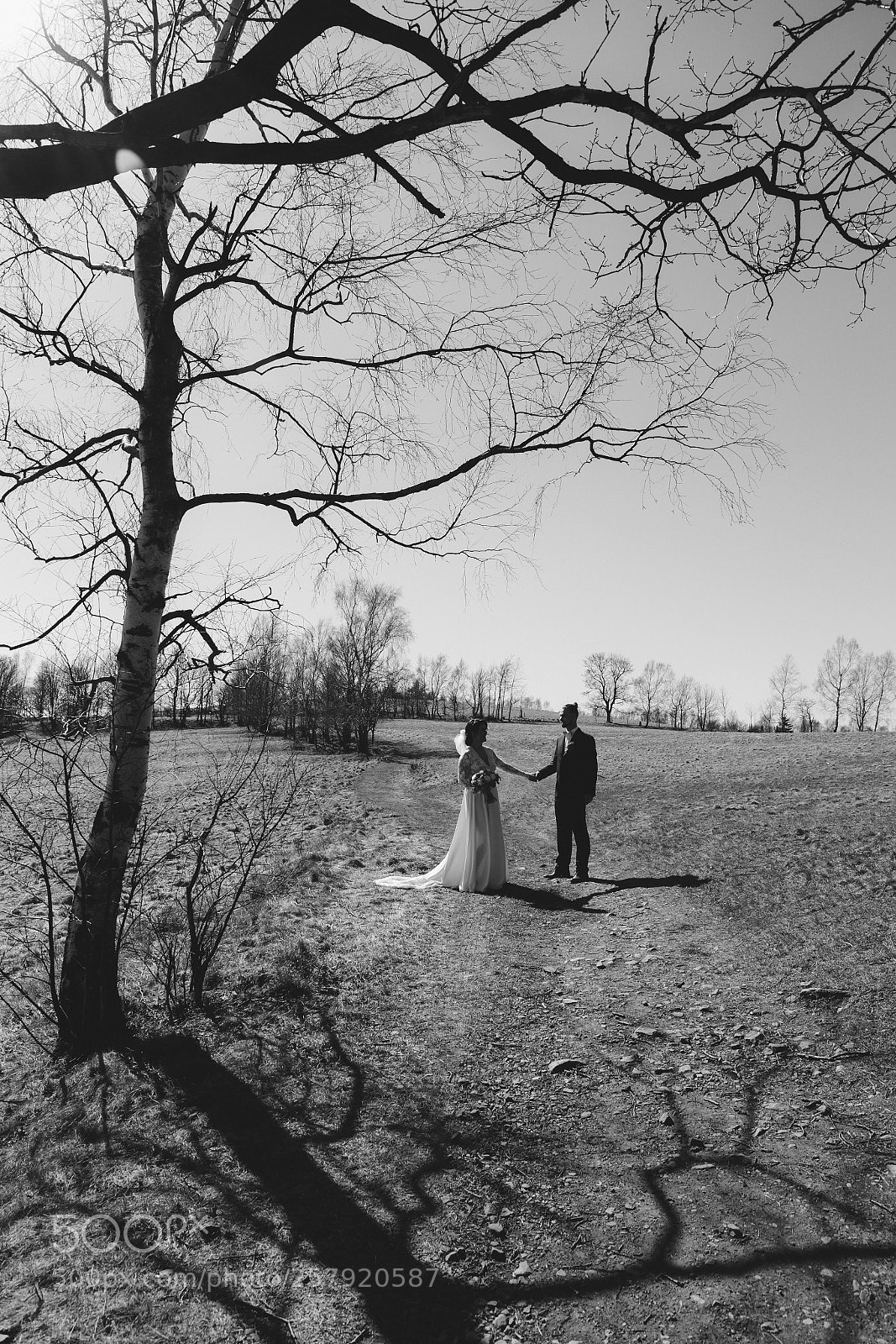 Canon EOS 6D sample photo. Zuzan + radek / wedding photography