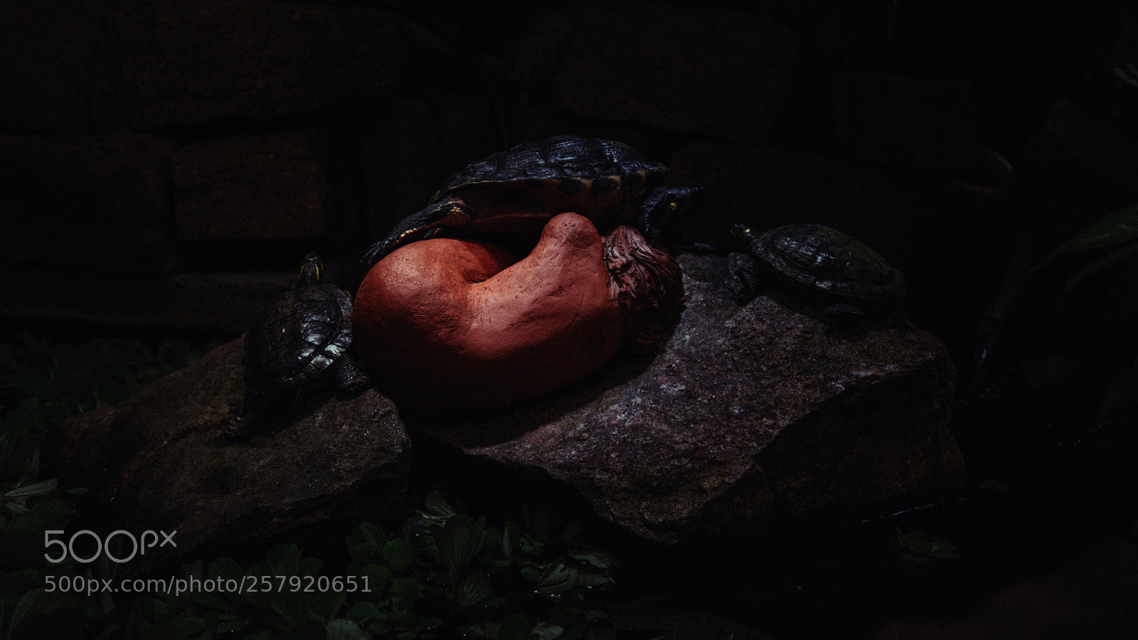 Sony a7R II sample photo. Untitled photography