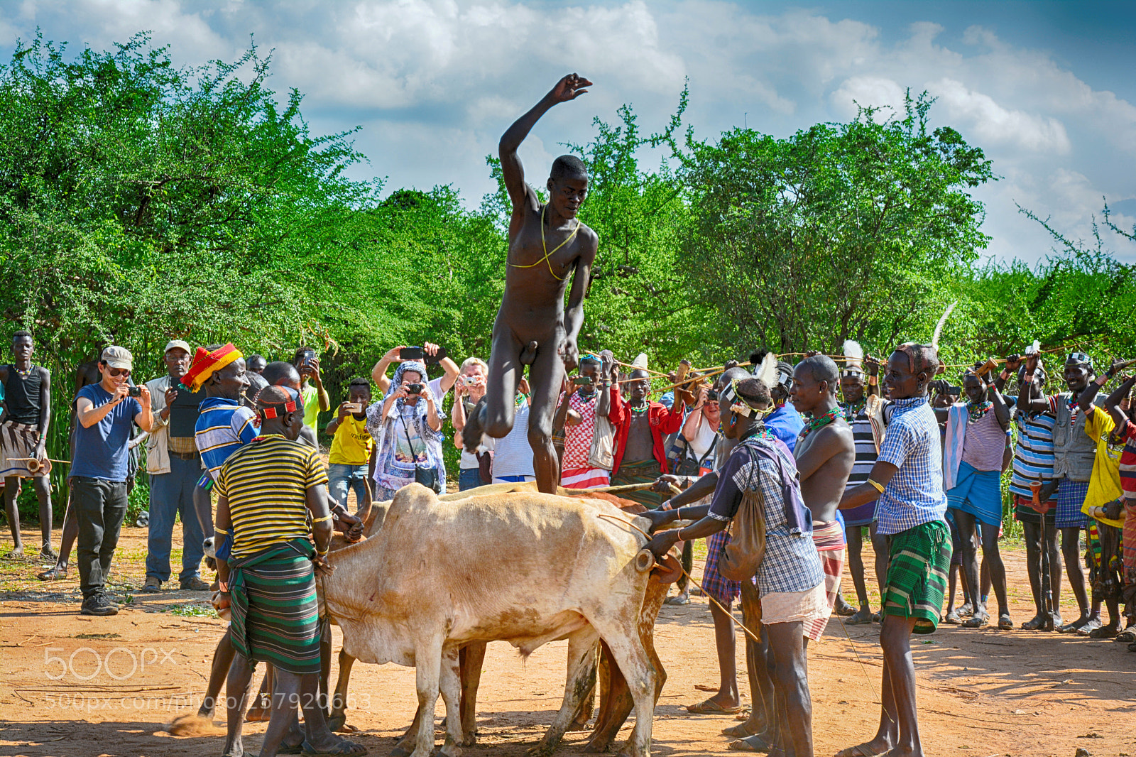 Nikon D5200 sample photo. Bull jumping ceremony photography