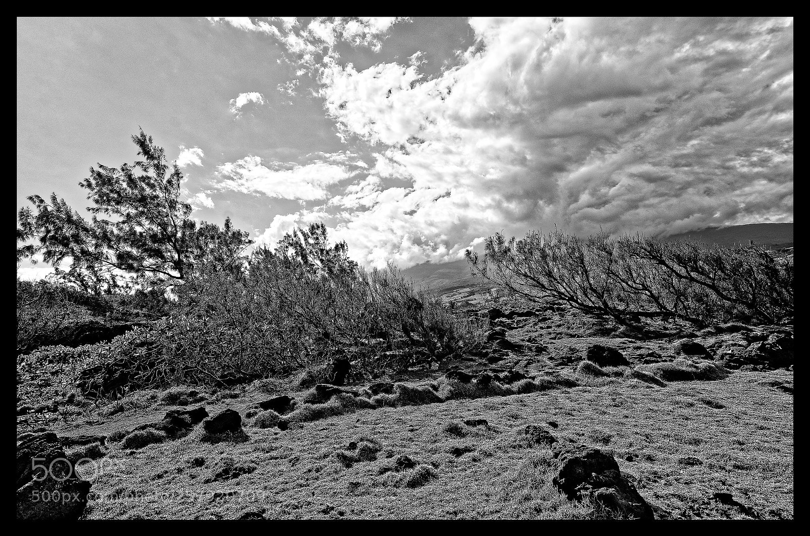 Nikon D7000 sample photo. Le sud sauvage ravine photography