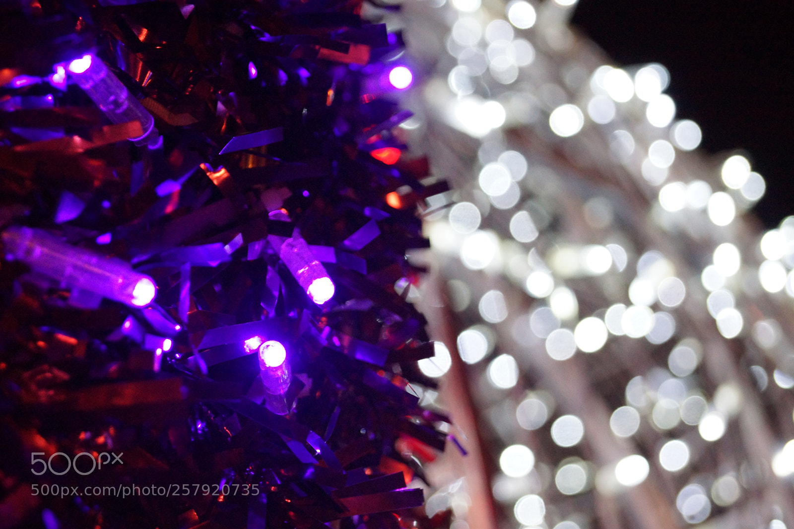 Sony SLT-A77 sample photo. Dsc photography