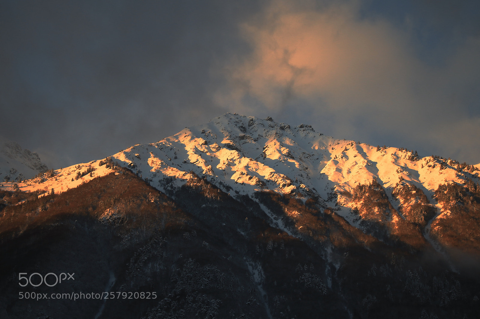 Canon EOS 70D sample photo. Alpine dream 7 photography
