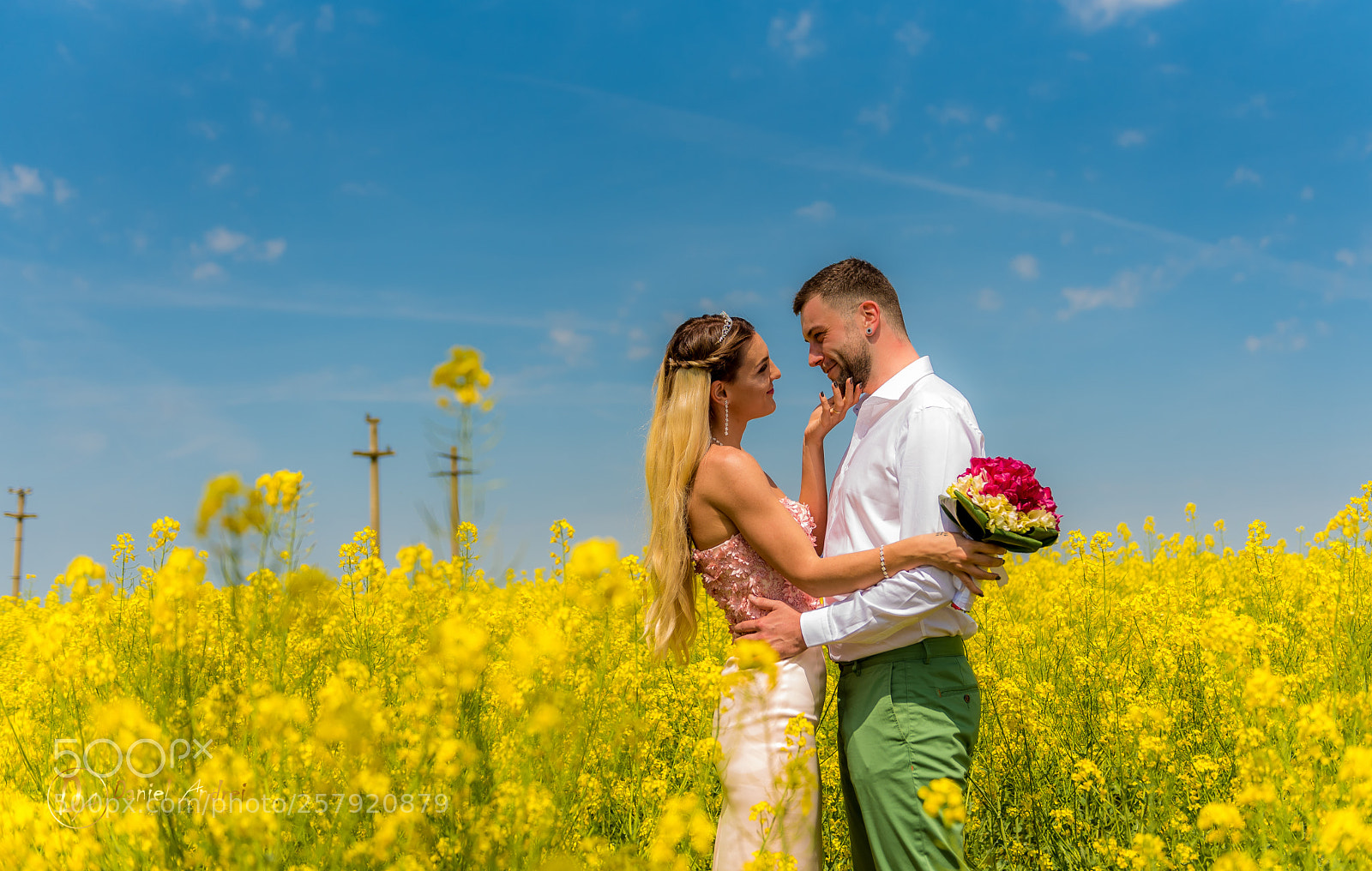 Nikon D750 sample photo. Untitled photography