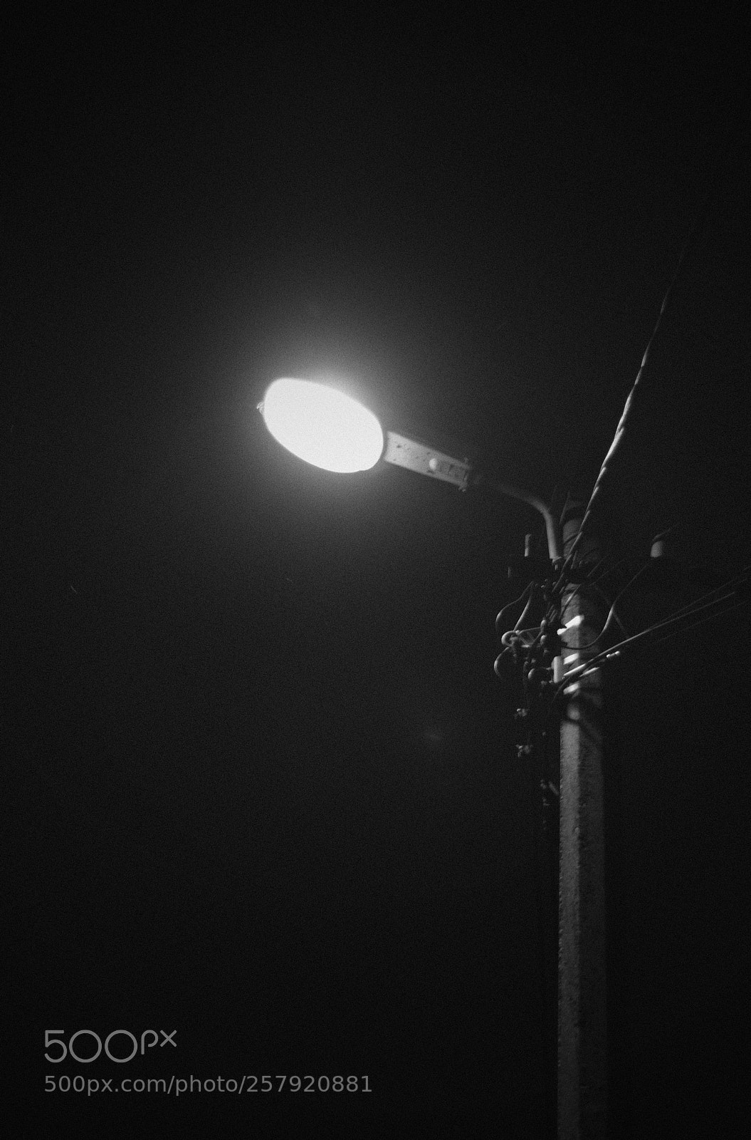 Nikon D7200 sample photo. Untitled photography