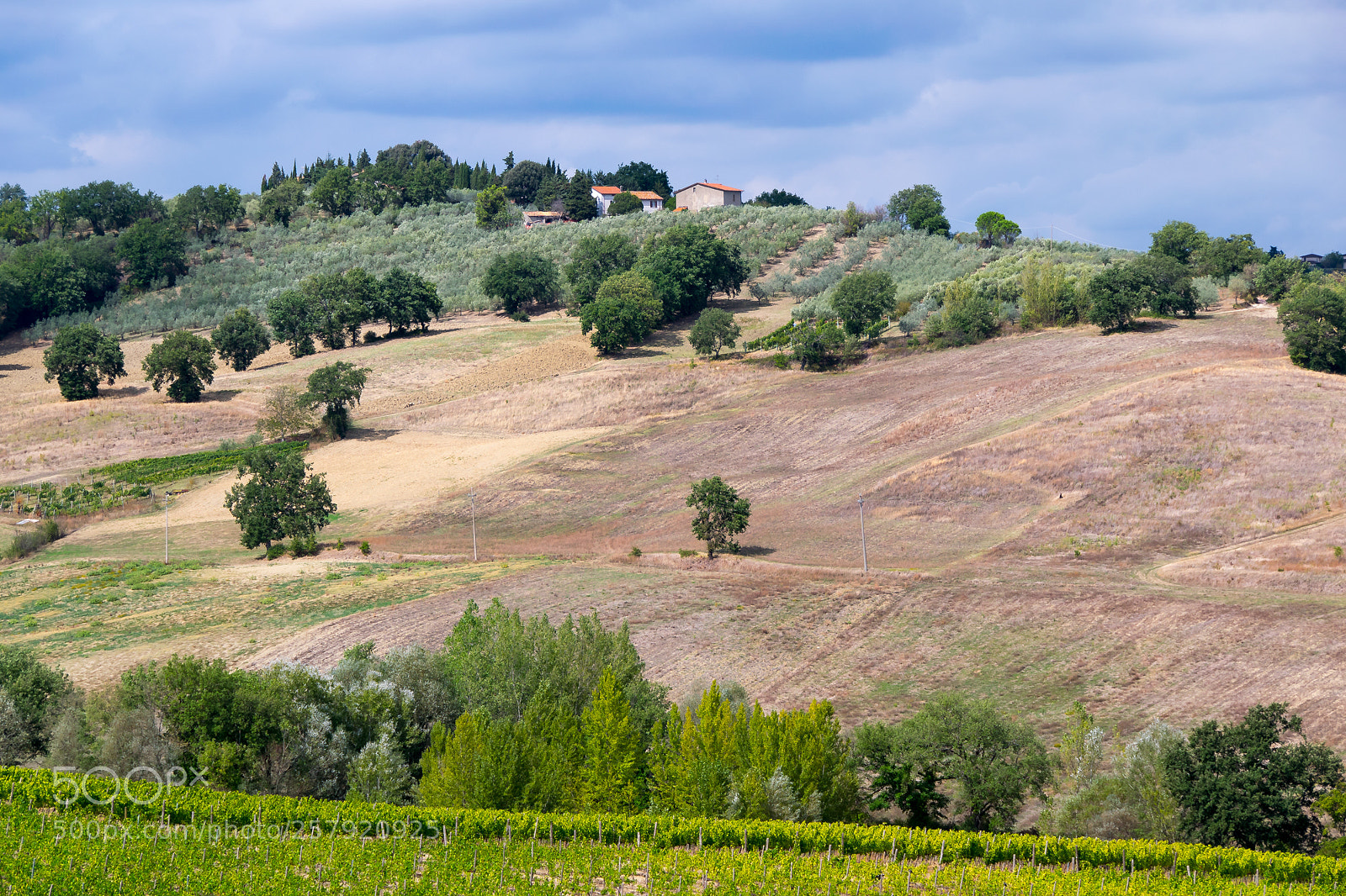 Nikon D3300 sample photo. Il campo di autunno photography