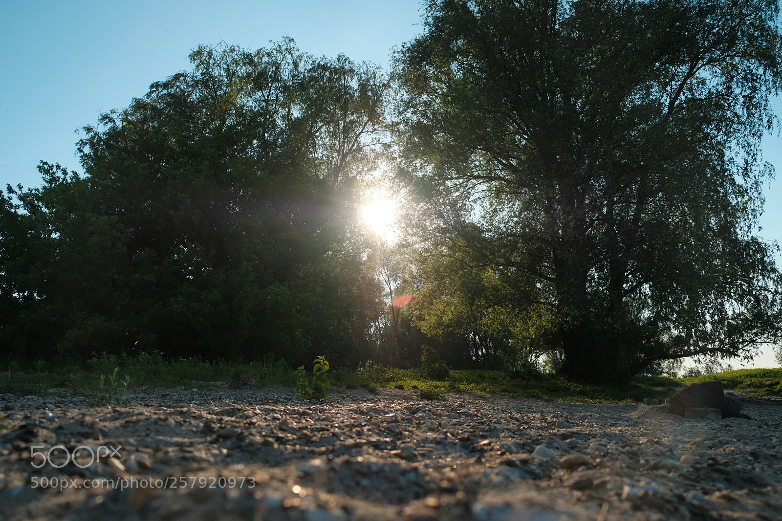 Fujifilm X-H1 sample photo. First day with the photography