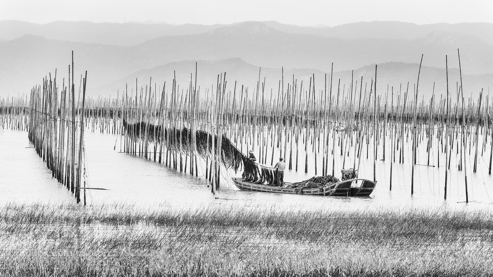 Nikon D750 sample photo. Fishermen photography