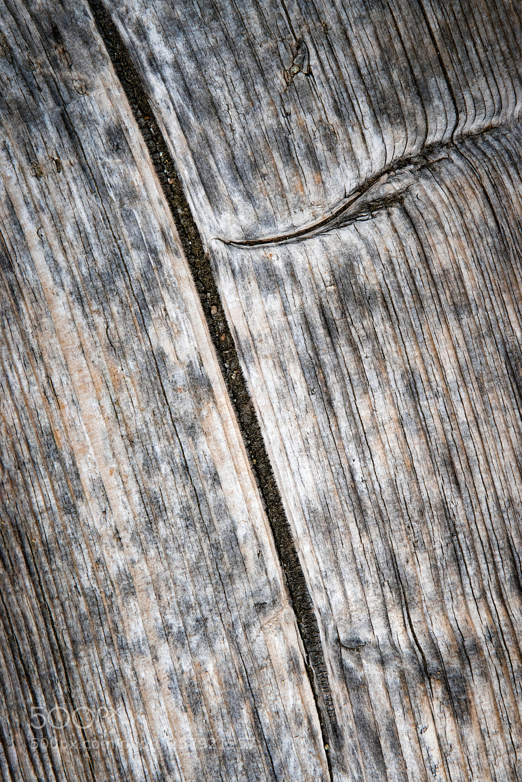 Nikon D5500 sample photo. Detail of the old photography