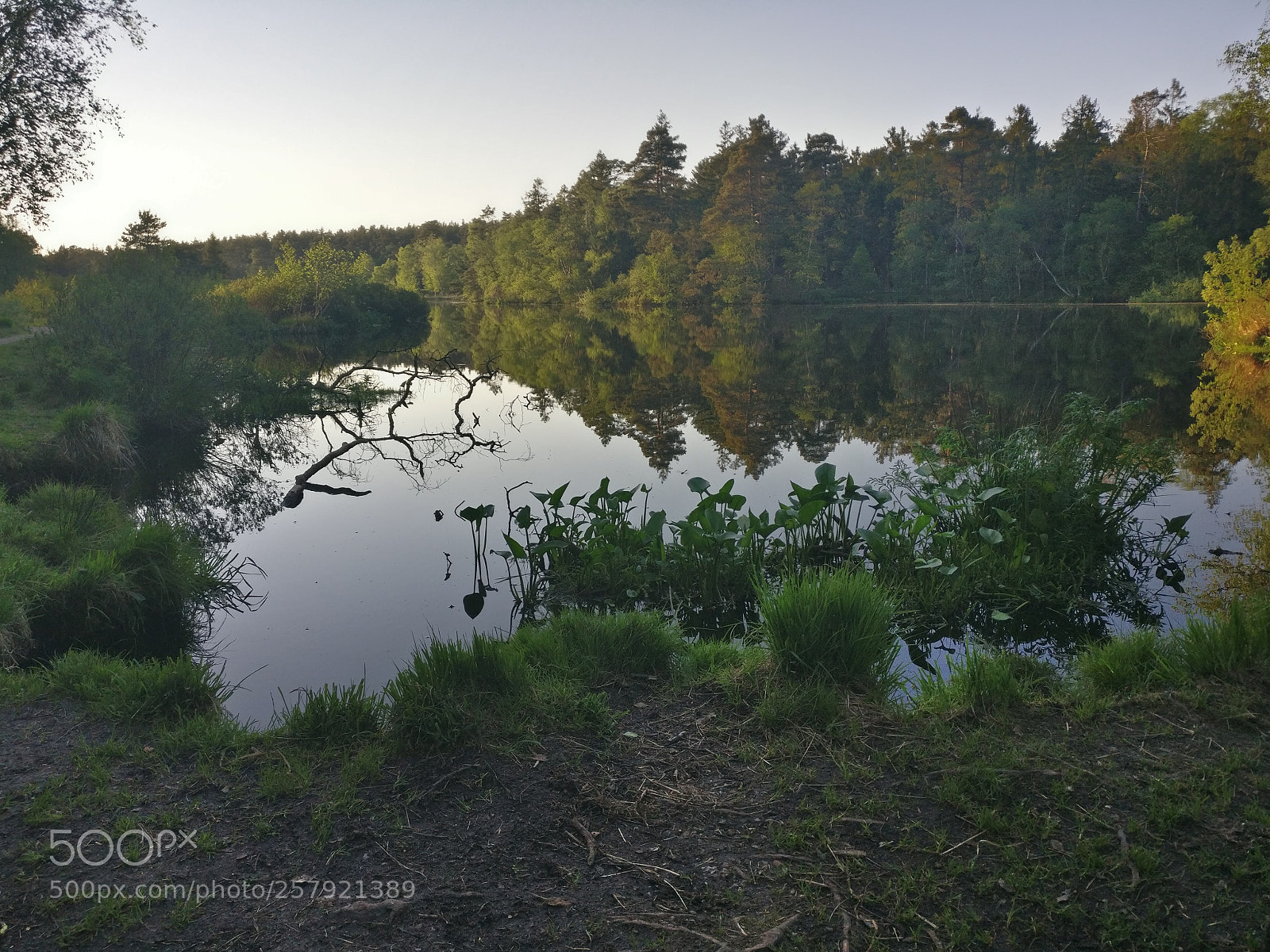 OnePlus A3003 sample photo. Untitled photography