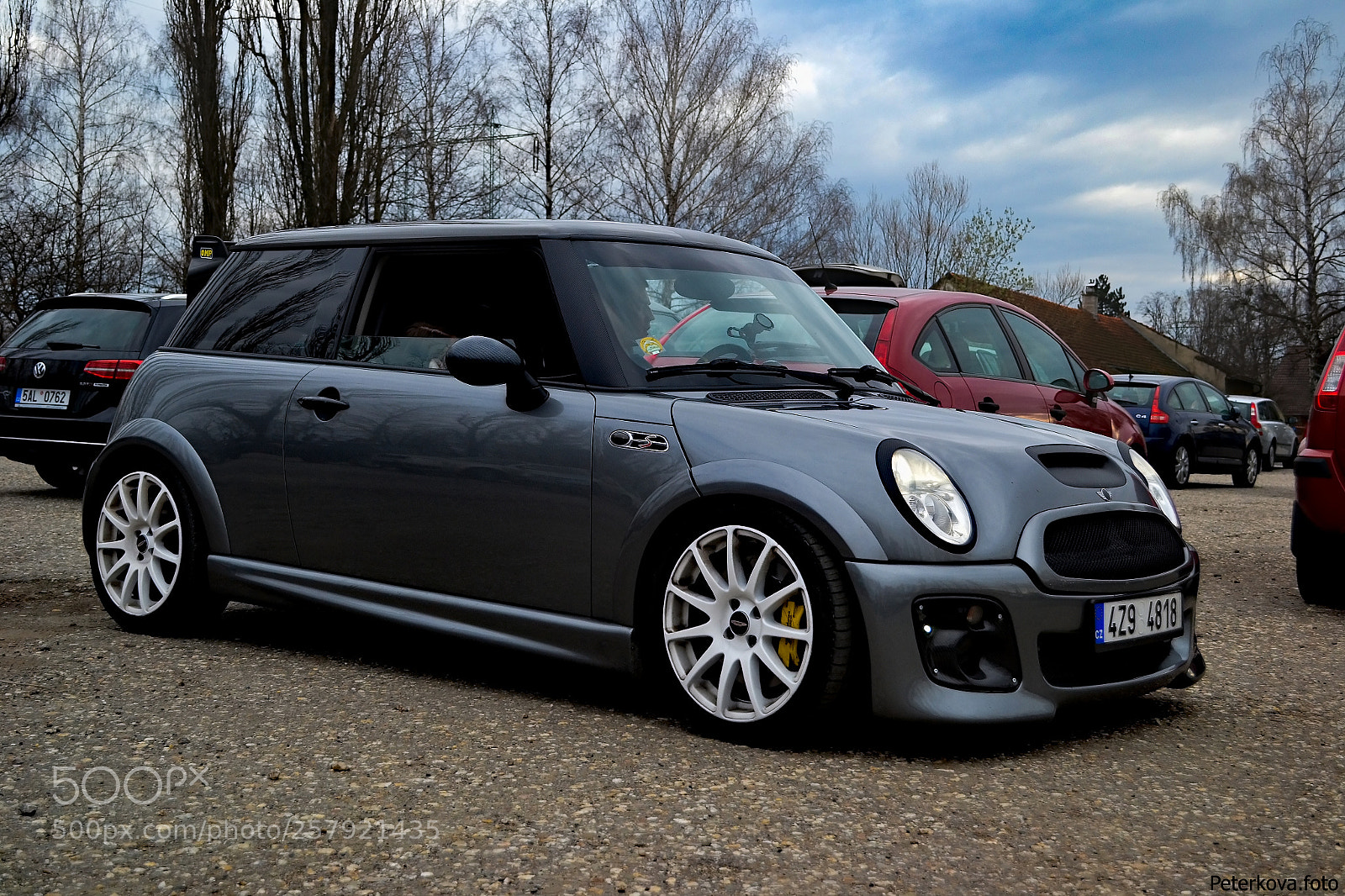 Nikon D3100 sample photo. Mini photography