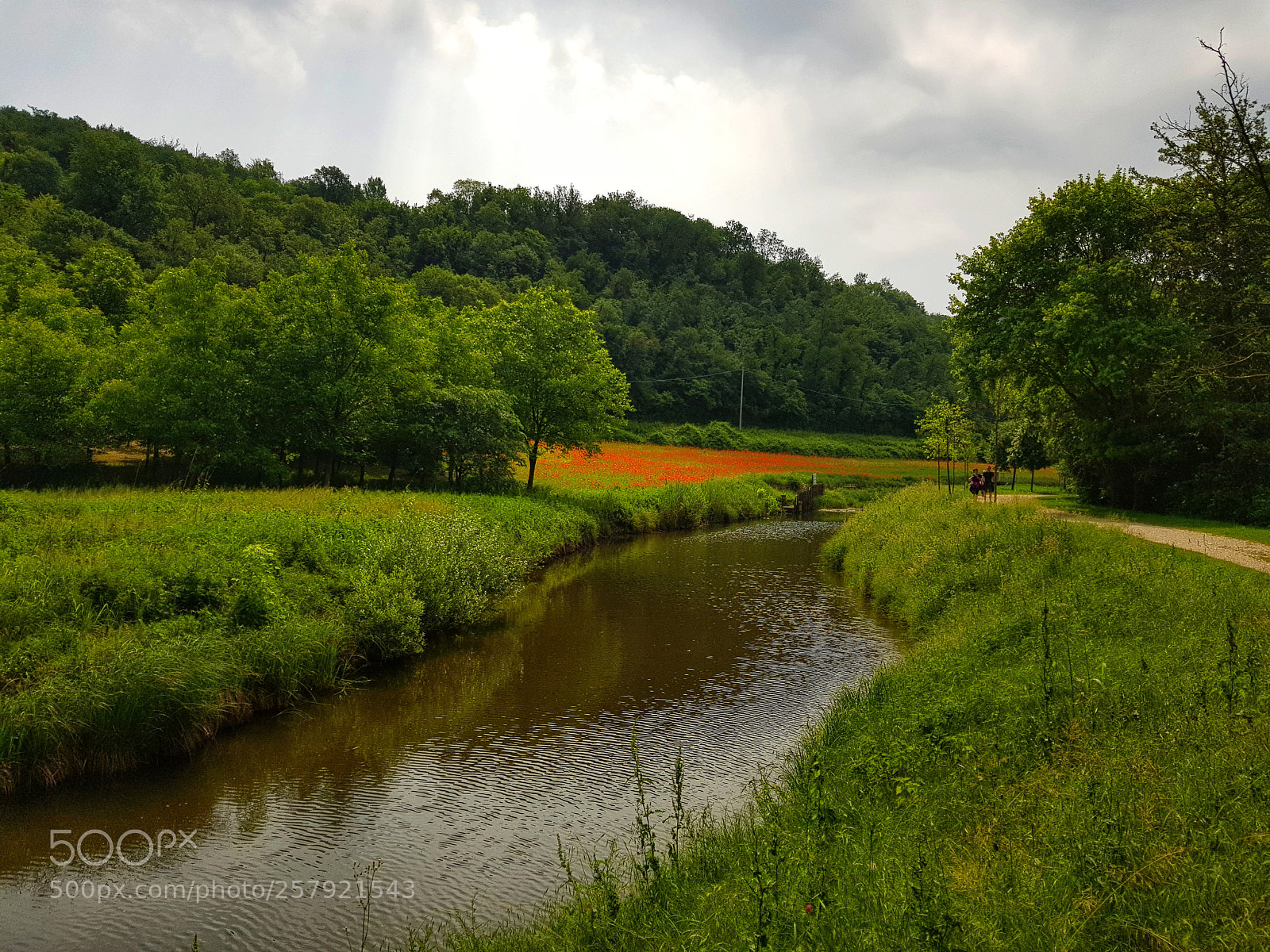 Samsung Galaxy S8 sample photo. 180513 photography