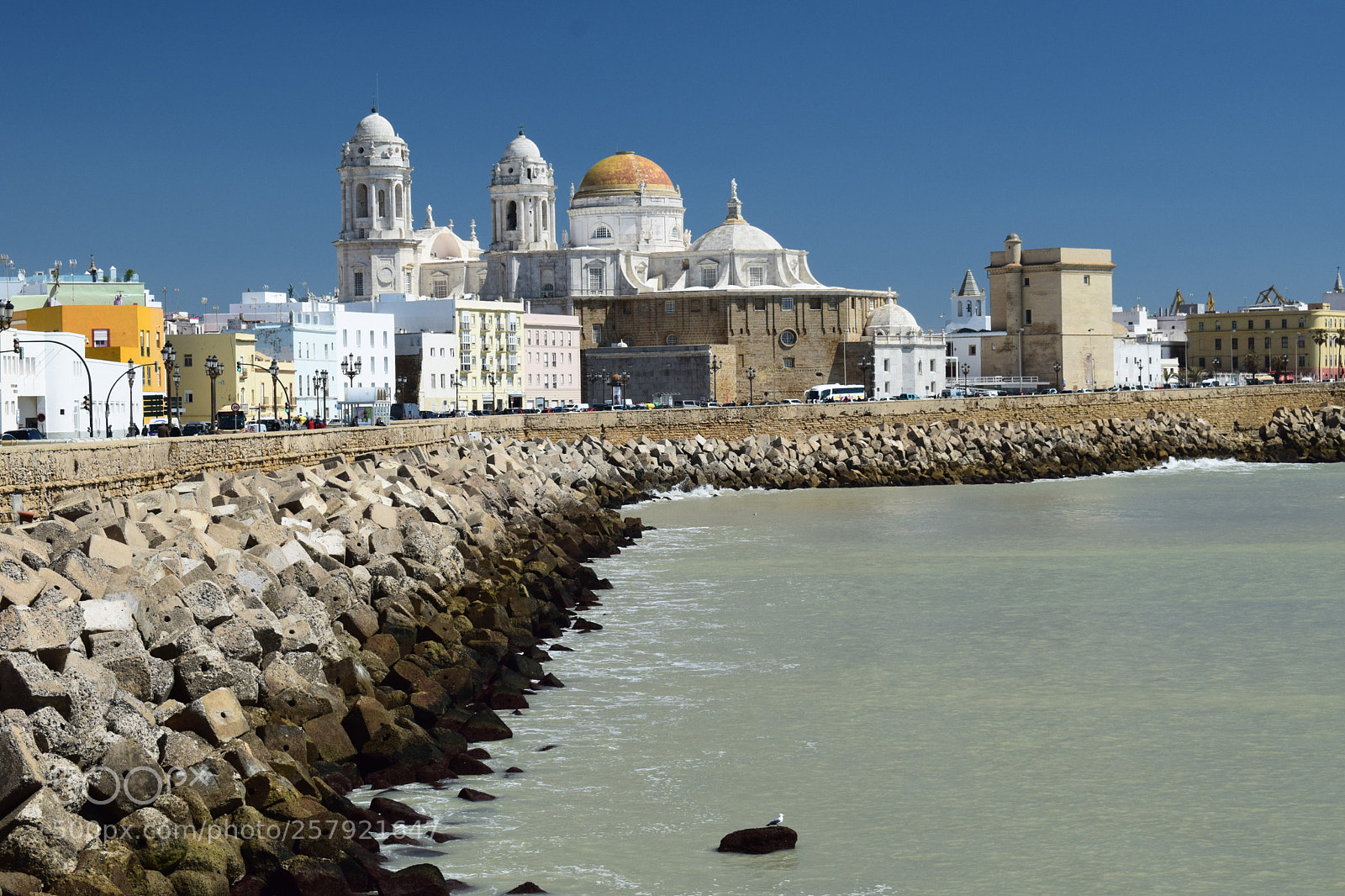 Nikon D5300 sample photo. Cadiz cathedral, spain photography