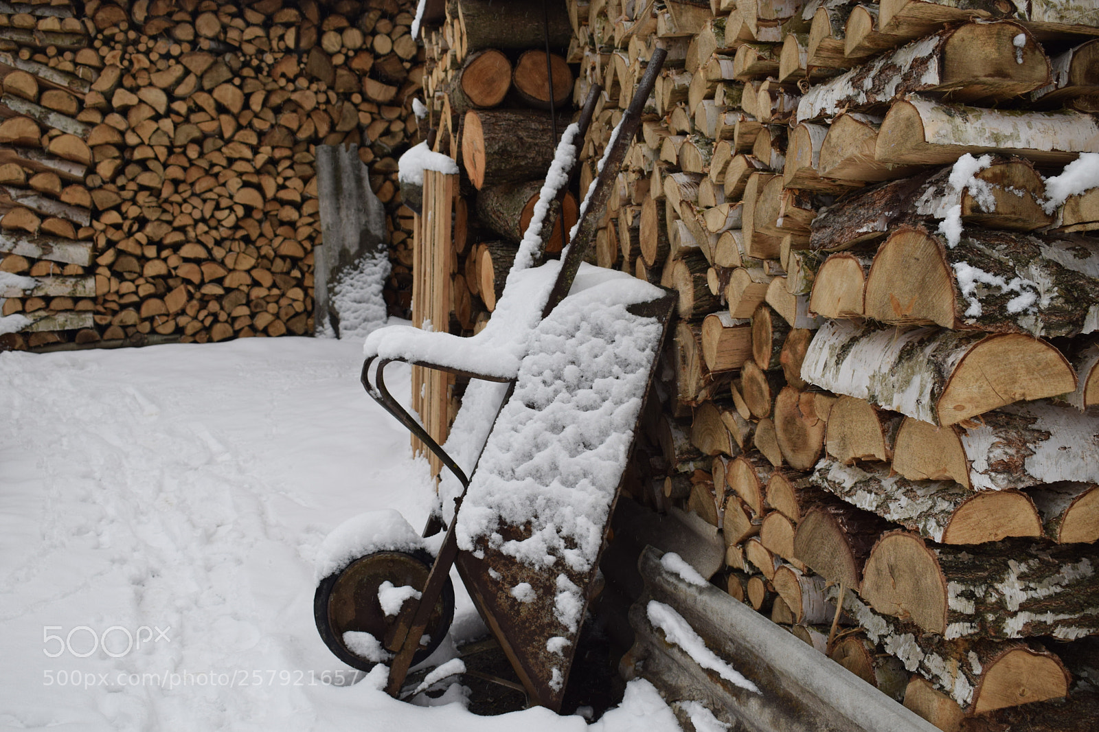 Nikon D5300 sample photo. Preparing for winter photography