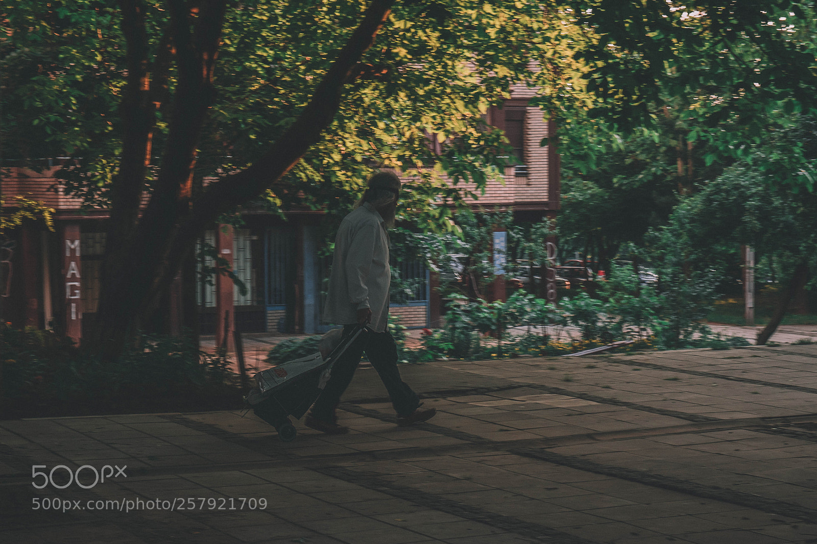 Nikon D5500 sample photo. The passenger photography