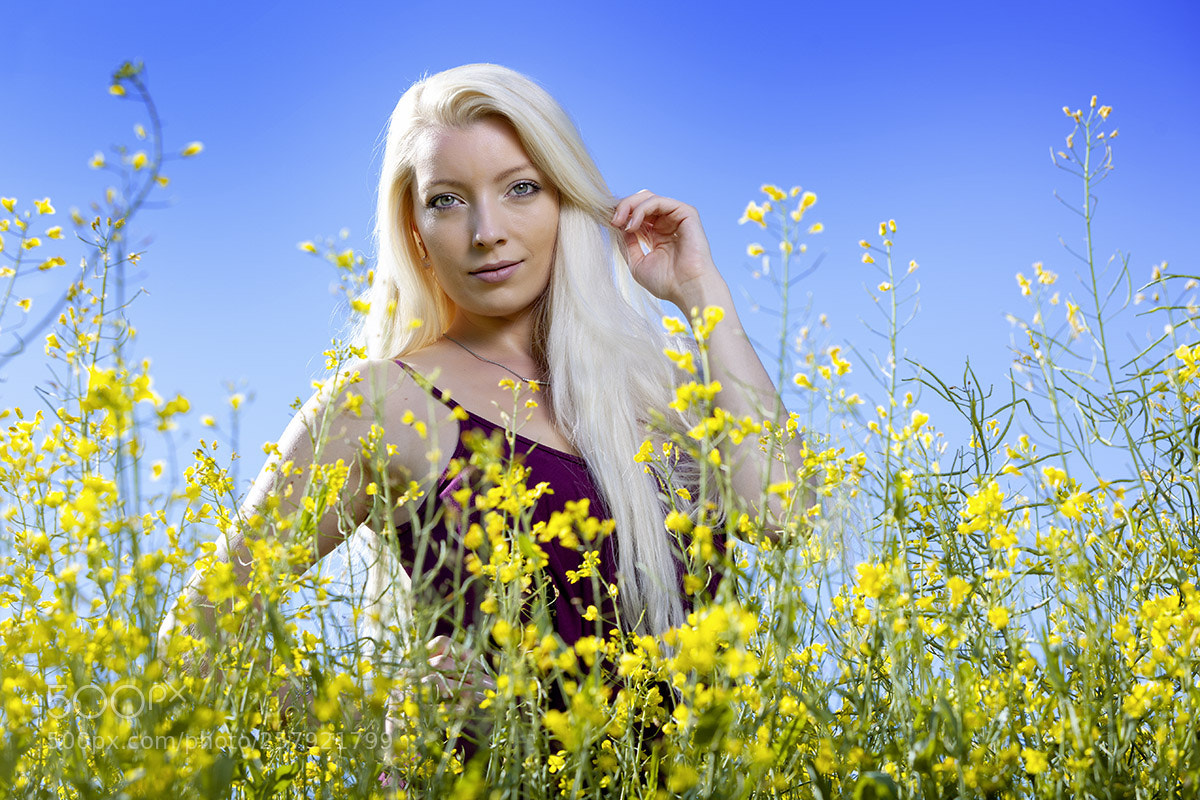 Canon EOS 5D Mark II sample photo. Yellow_blue_beauty photography