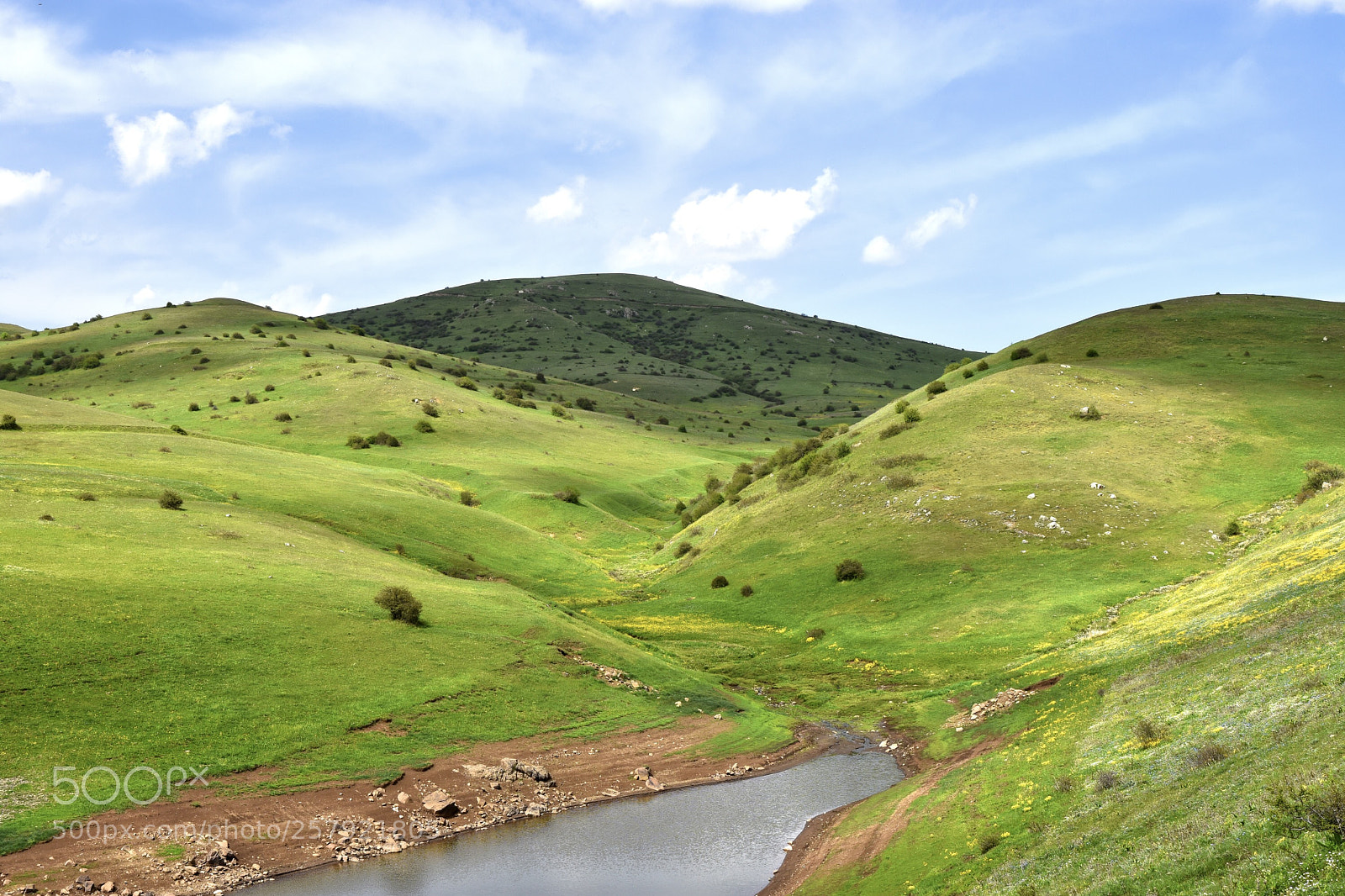 Nikon D7200 sample photo. Grassland photography