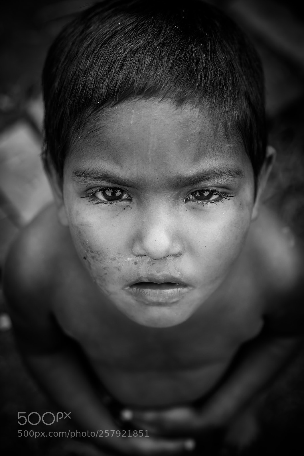 Canon EOS 6D sample photo. Insight photography