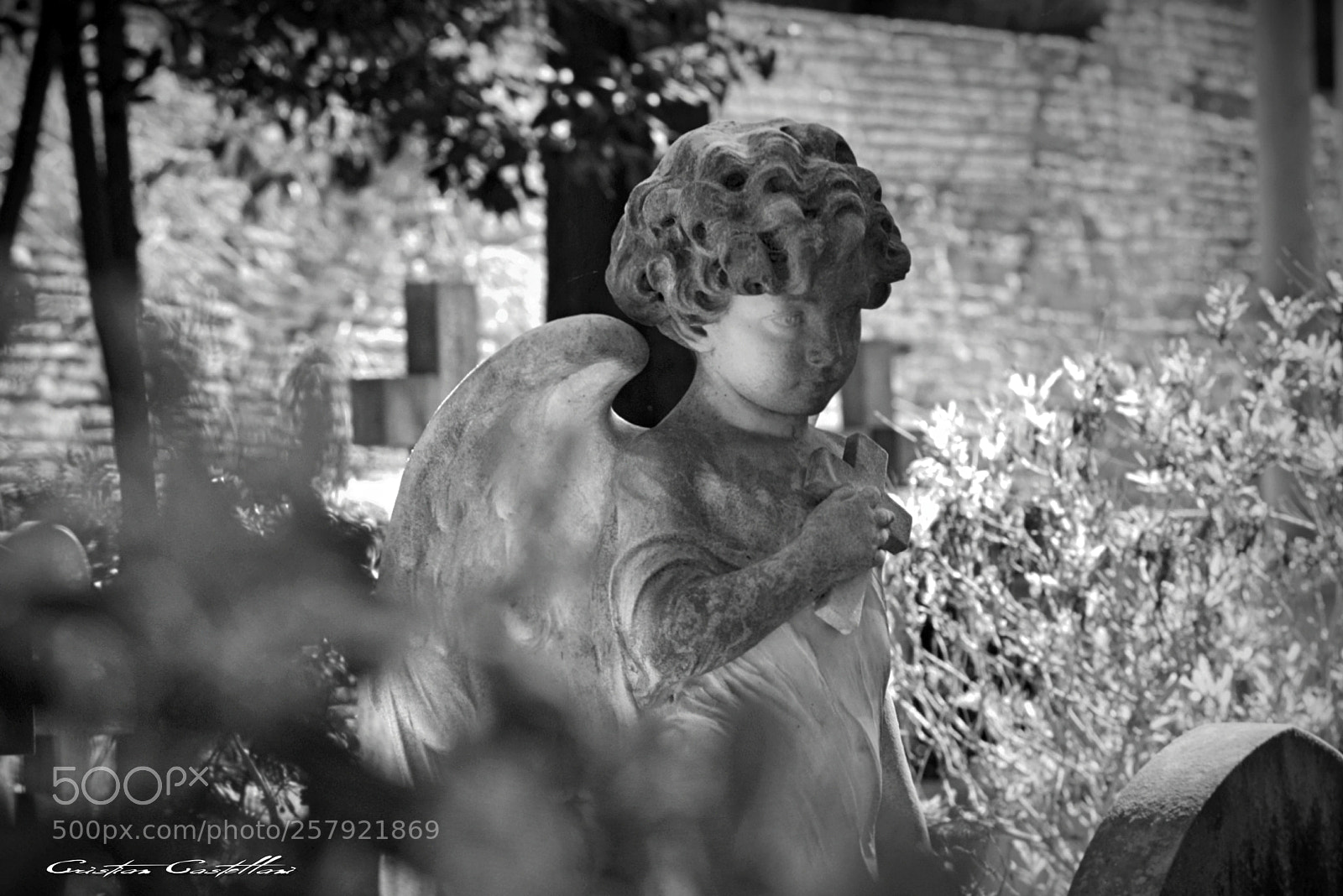 Nikon D3300 sample photo. Little angel photography