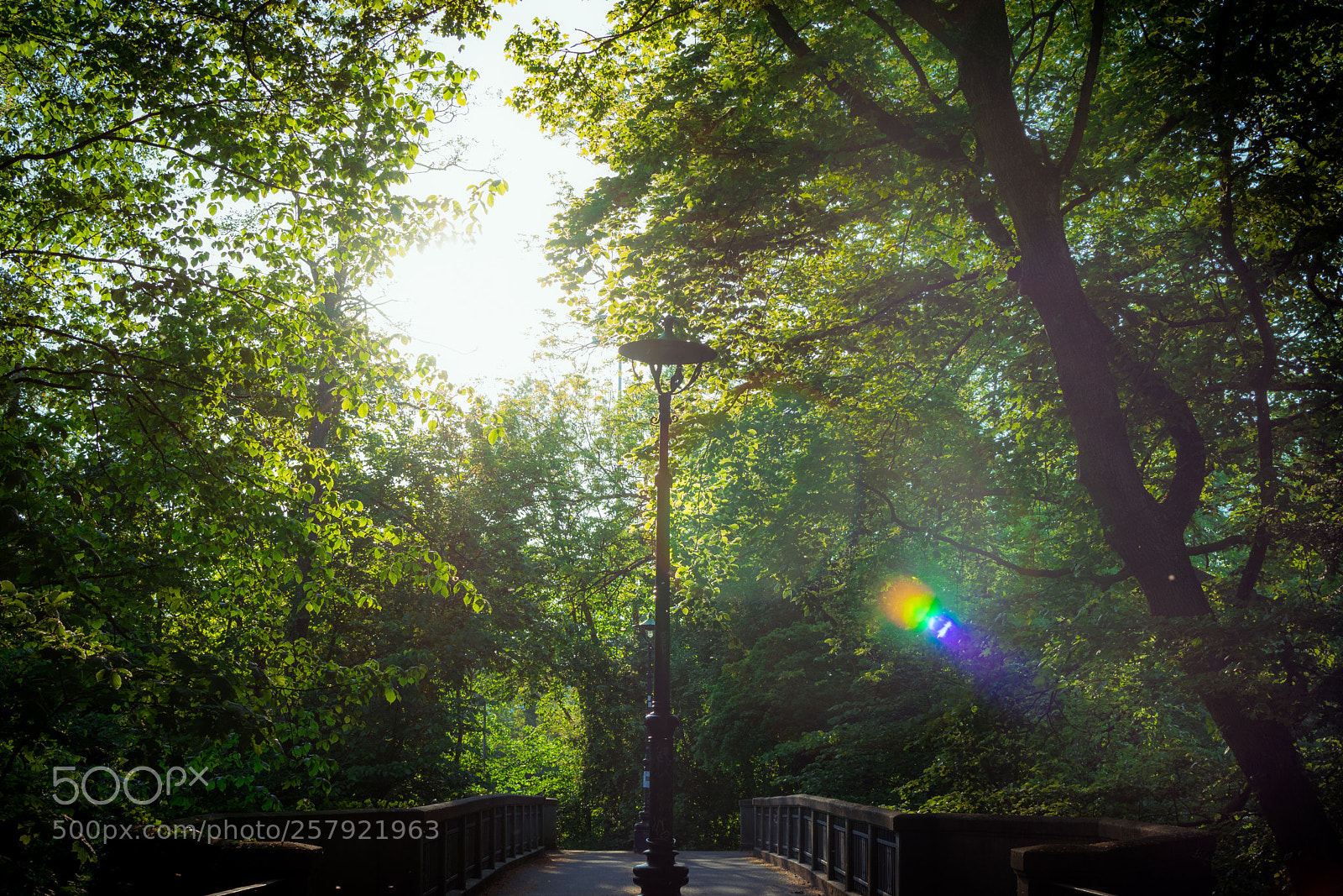 Nikon D3300 sample photo. Vintage lamppost on a photography