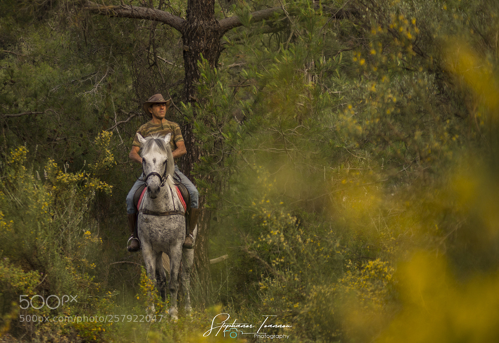 Sony SLT-A58 sample photo. Horse riding in nature photography