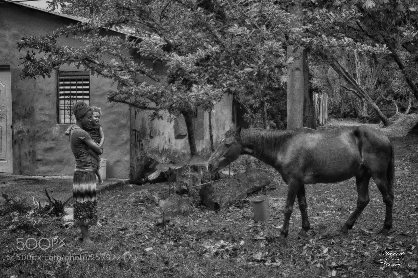 Nikon D7200 sample photo. Black beauty photography