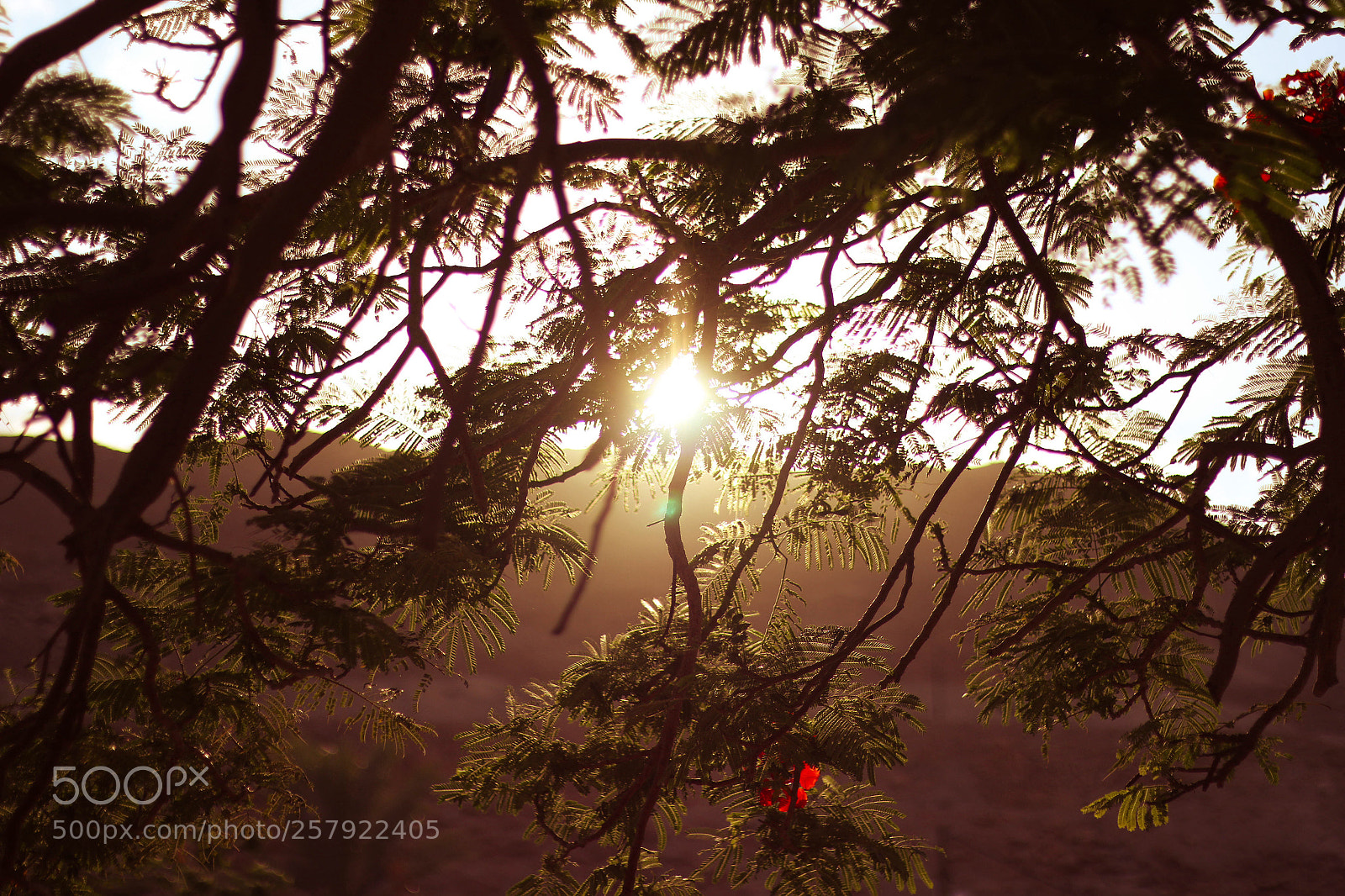 Canon EOS 70D sample photo. Untitled photography