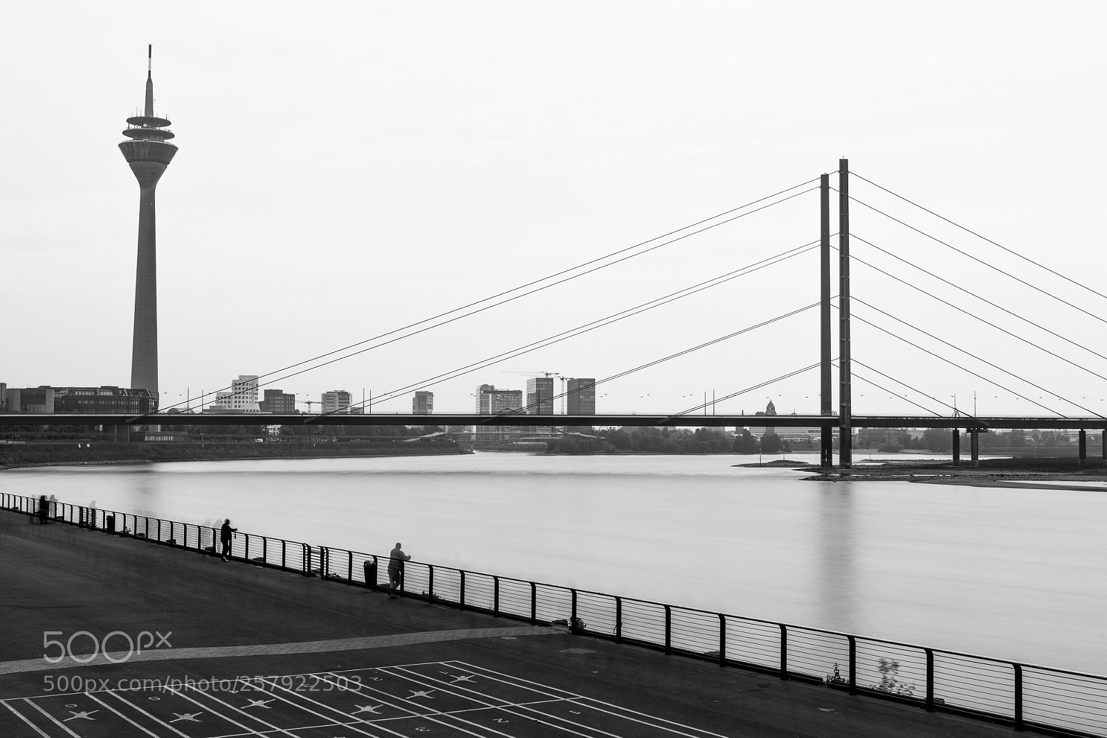 Nikon D850 sample photo. Rhein i photography