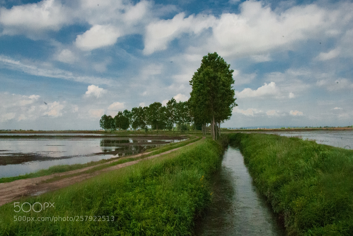 Nikon D200 sample photo. My land of water photography