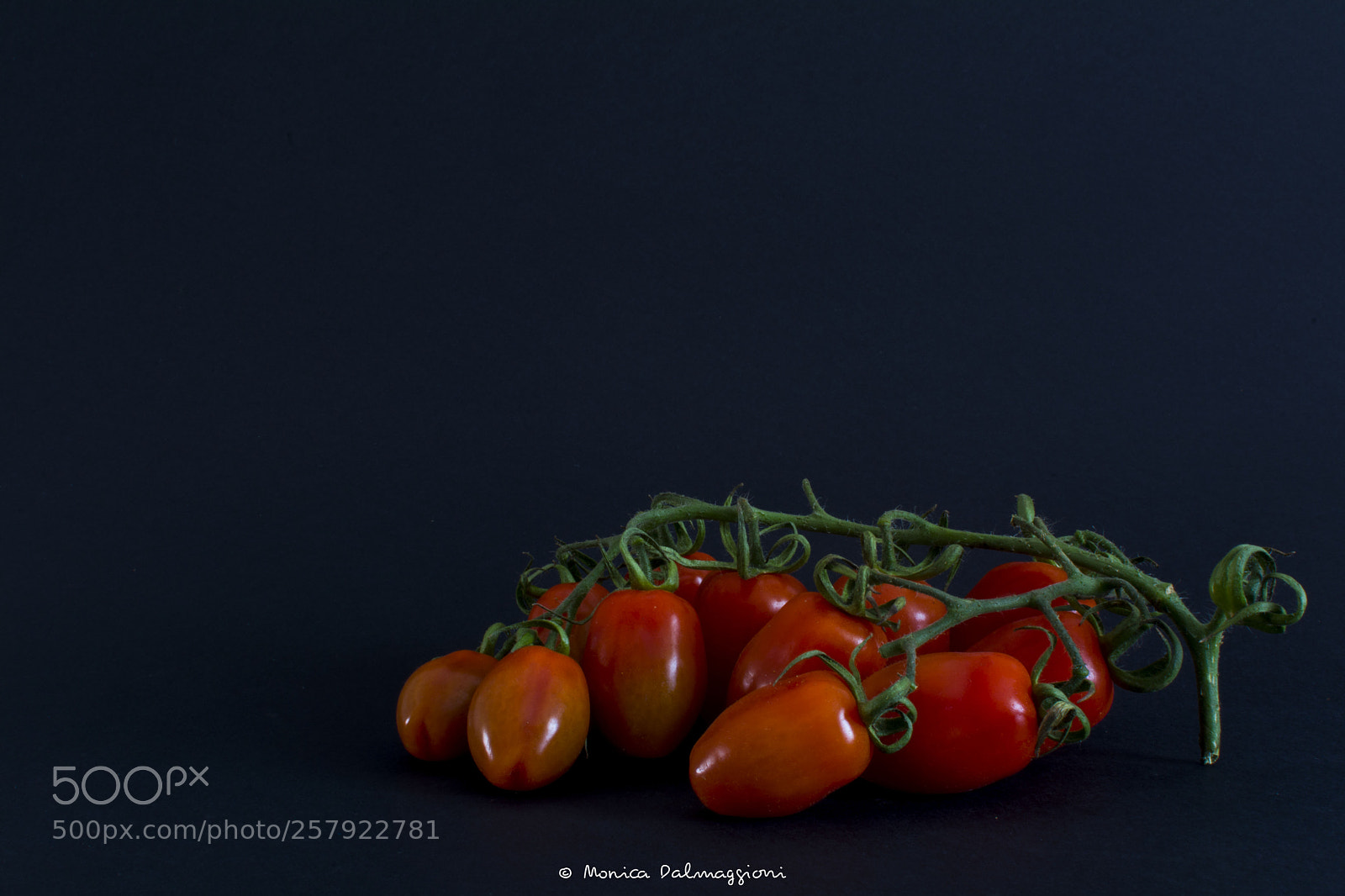 Nikon D7100 sample photo. Italian photography