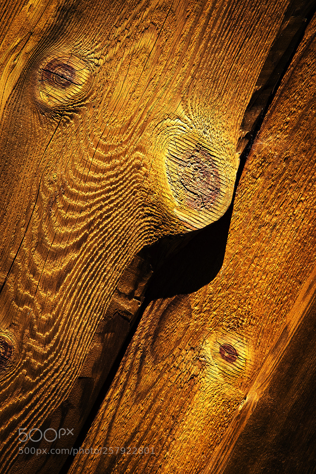 Nikon D5500 sample photo. Brown color wood board photography