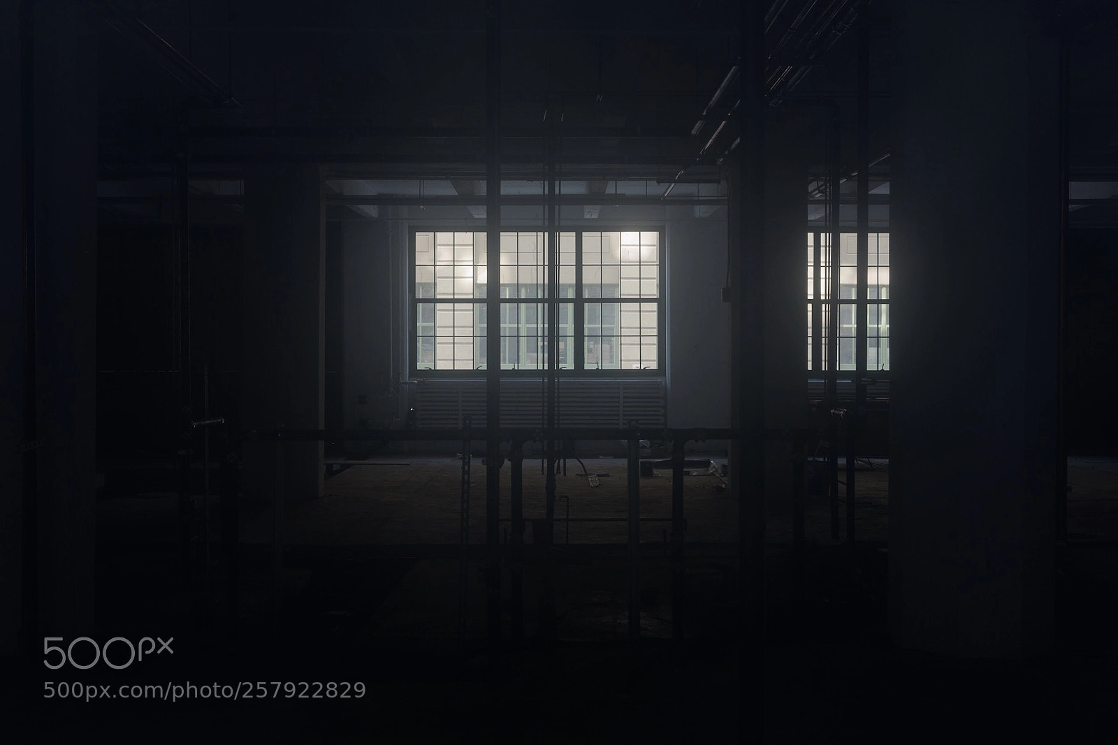 Nikon D810 sample photo. Dark window photography