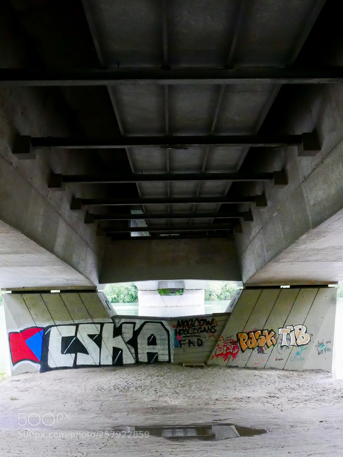 Panasonic Lumix DMC-LX100 sample photo. Untitled photography