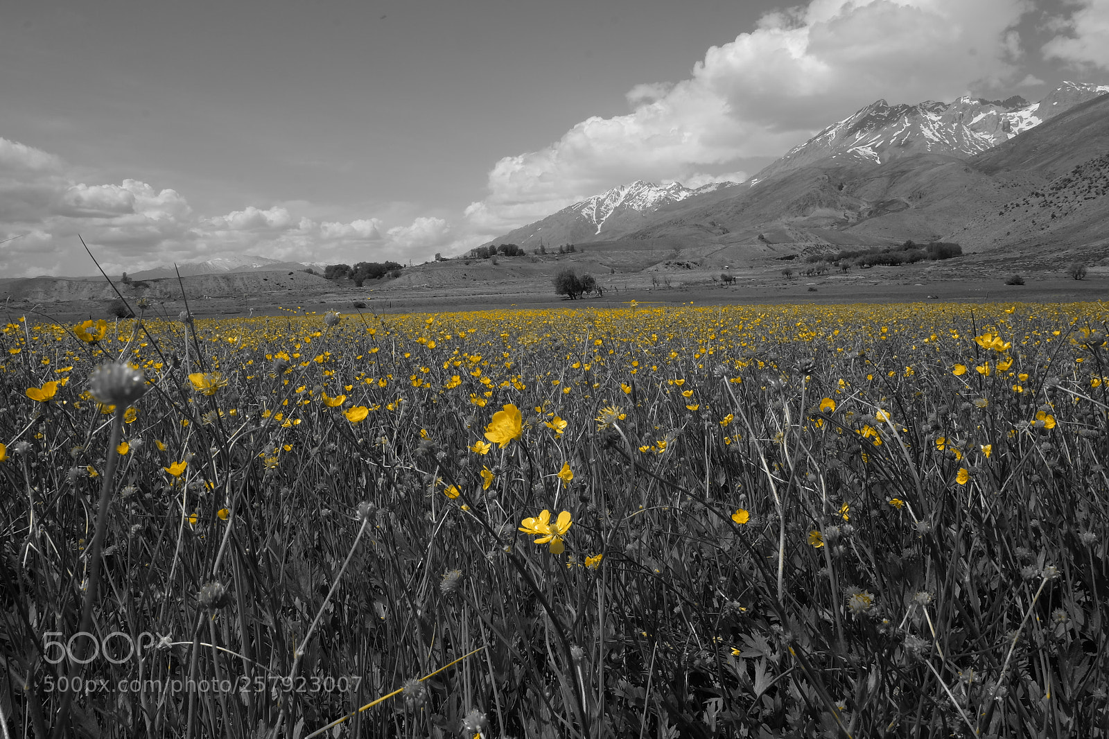 Fujifilm X-E2 sample photo. Spring in ovacik-tunceli turkey photography