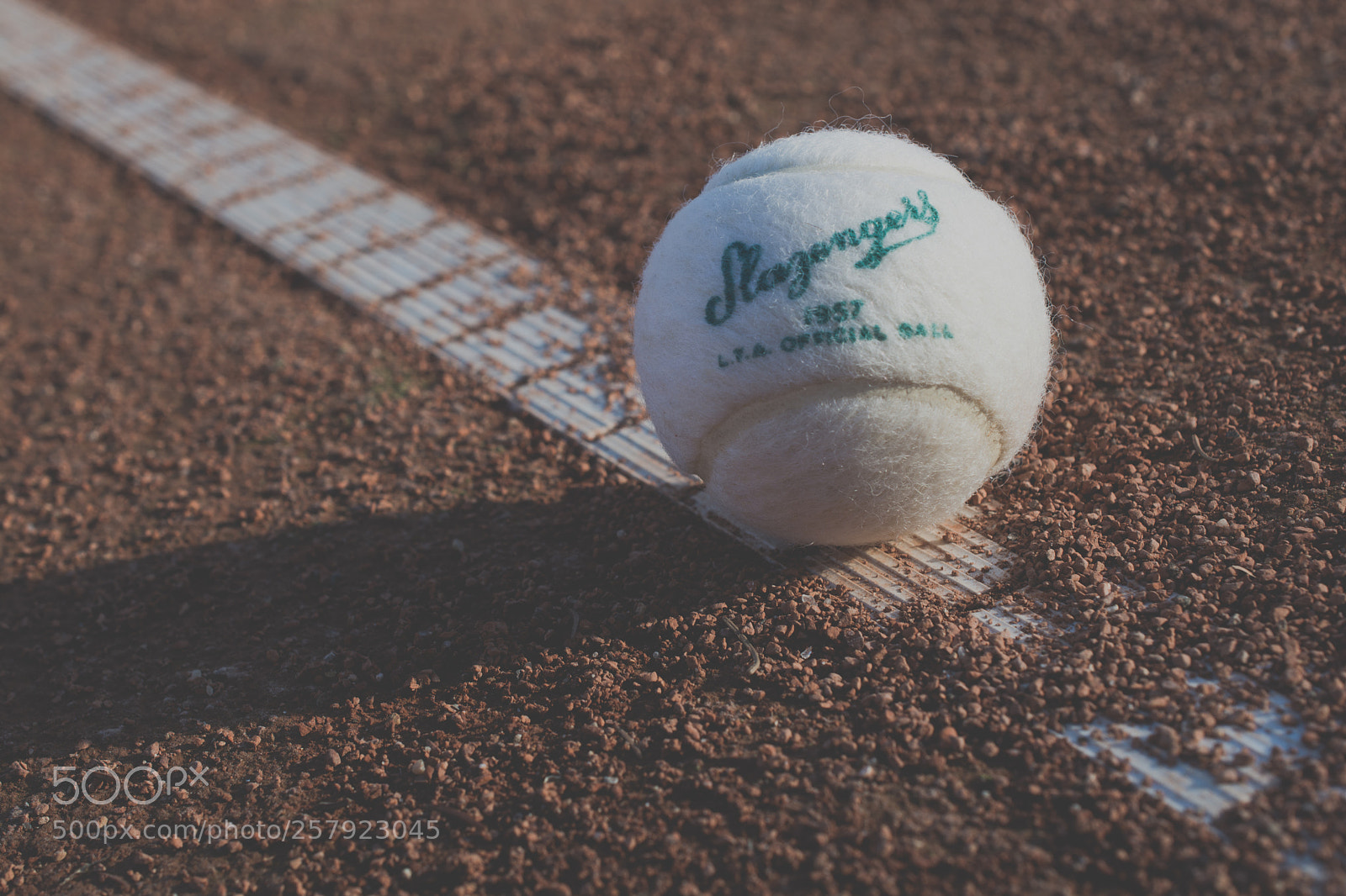 Nikon D5200 sample photo. No 1 photography