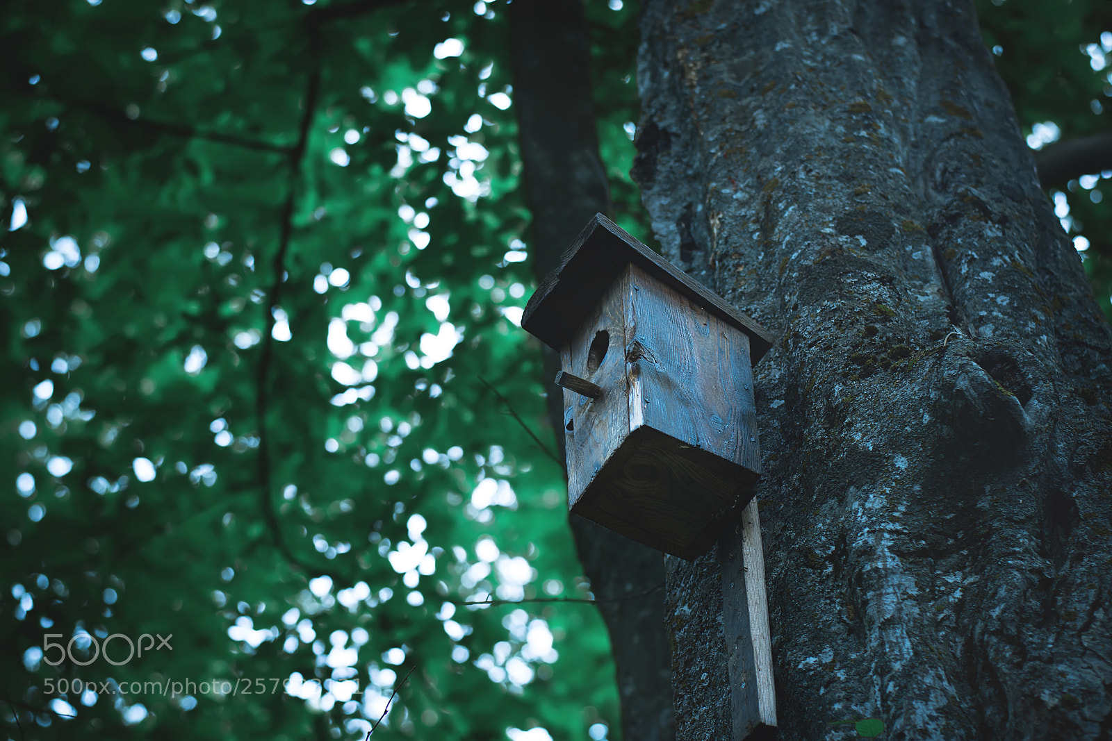 Nikon D5300 sample photo. Untitled photography