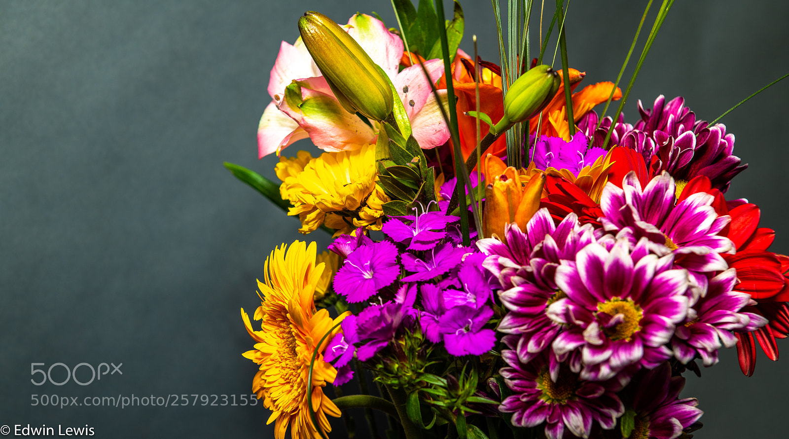 Nikon D850 sample photo. Spring flowers 2018 photography