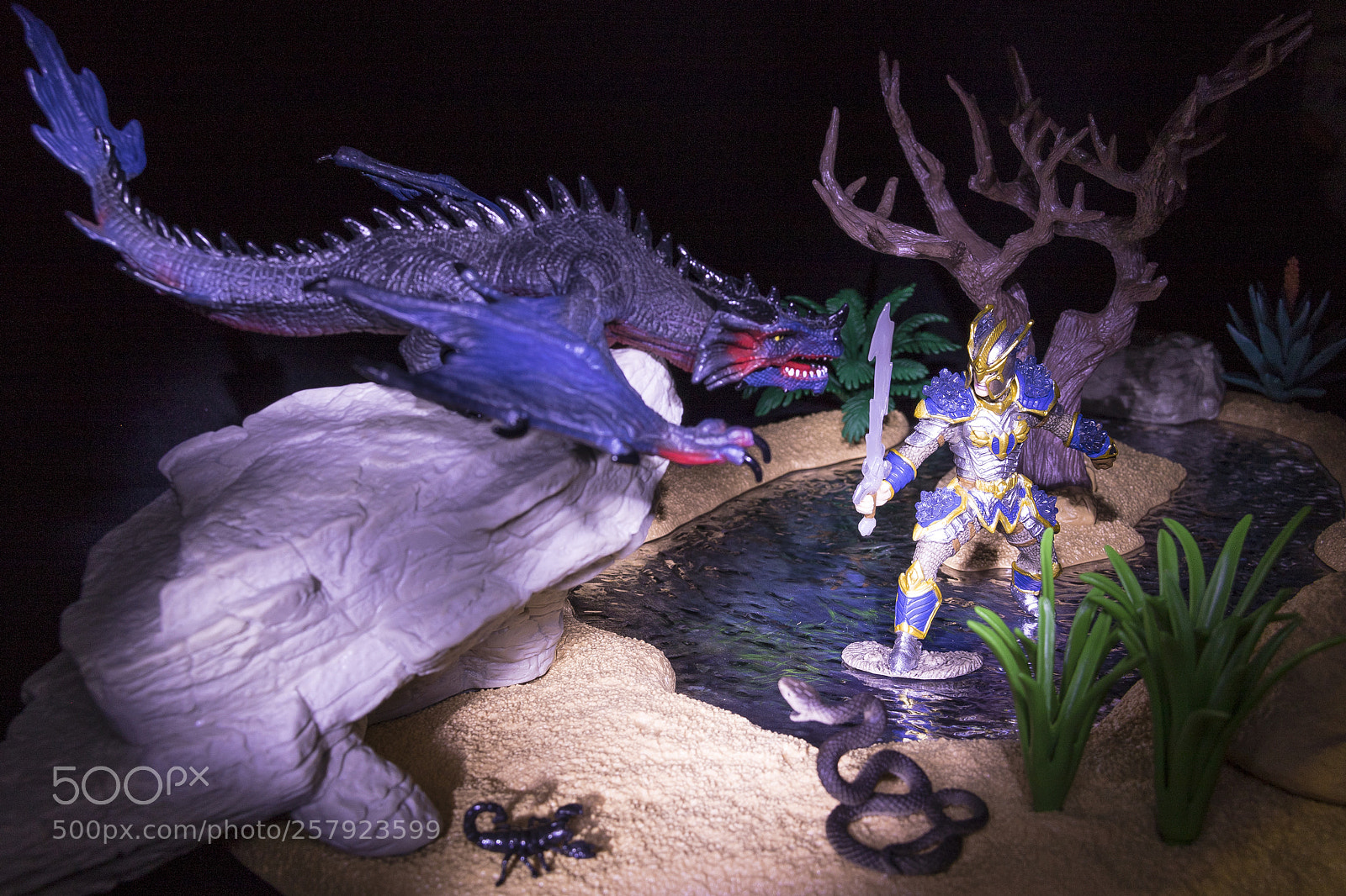Canon EOS 7D Mark II sample photo. Where the dragons rule photography