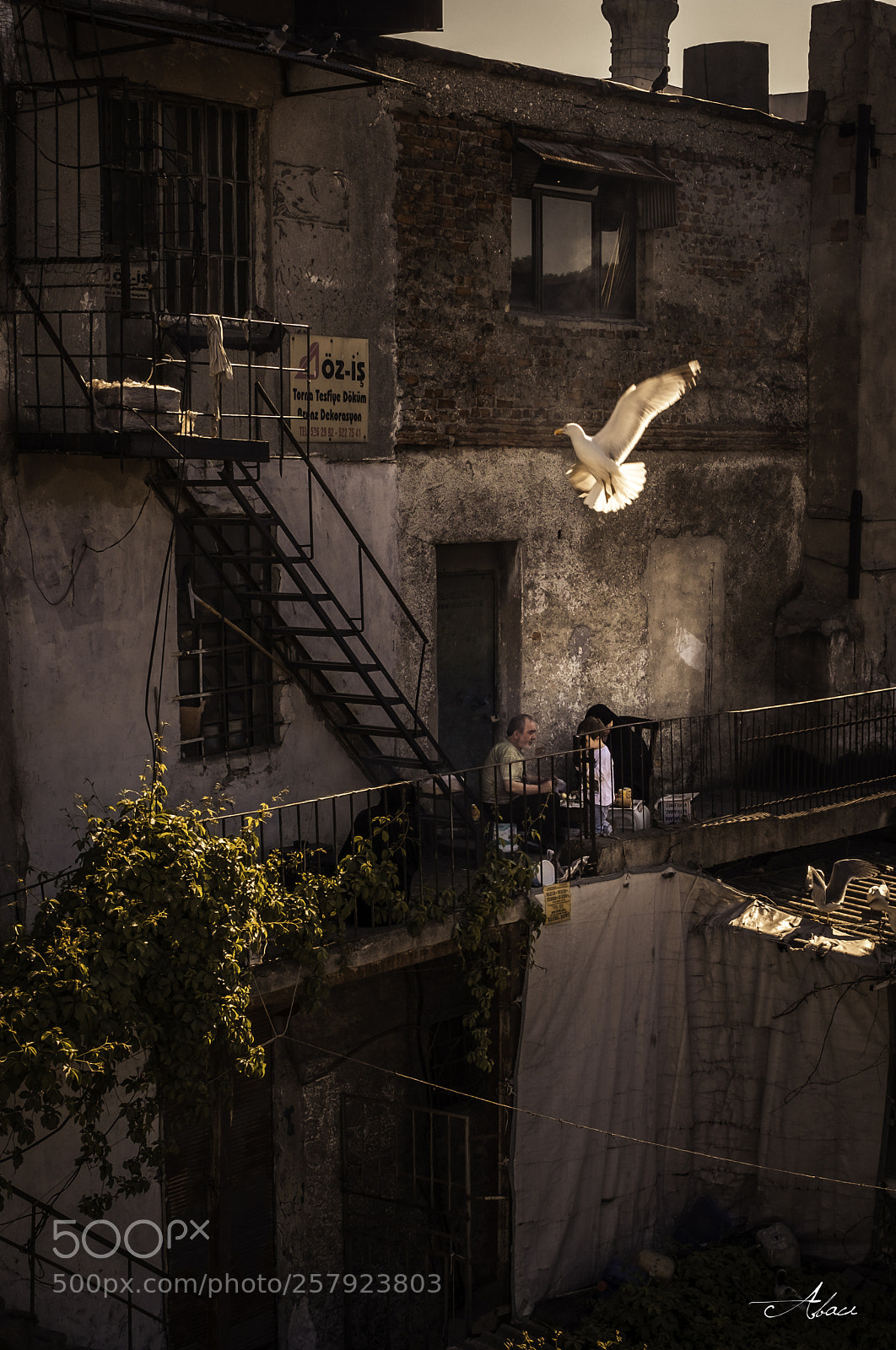 Fujifilm X-T2 sample photo. Frieden photography