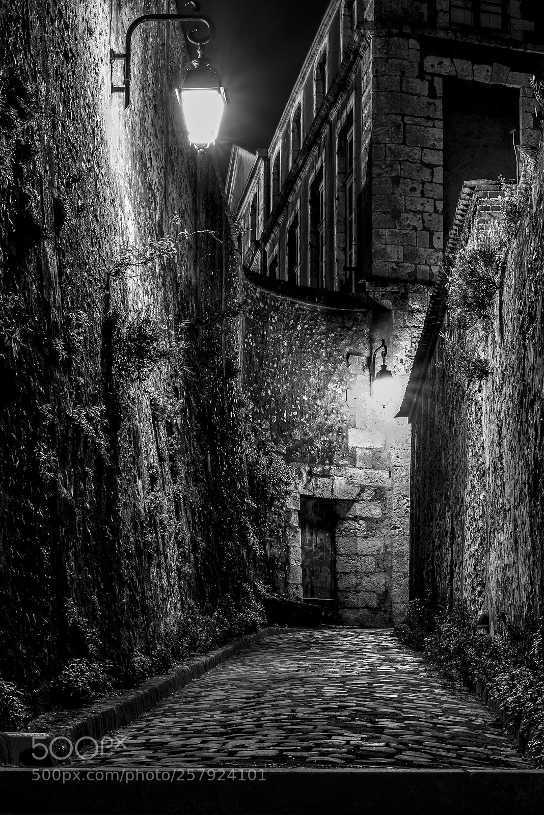 Nikon D610 sample photo. Street for jack the photography