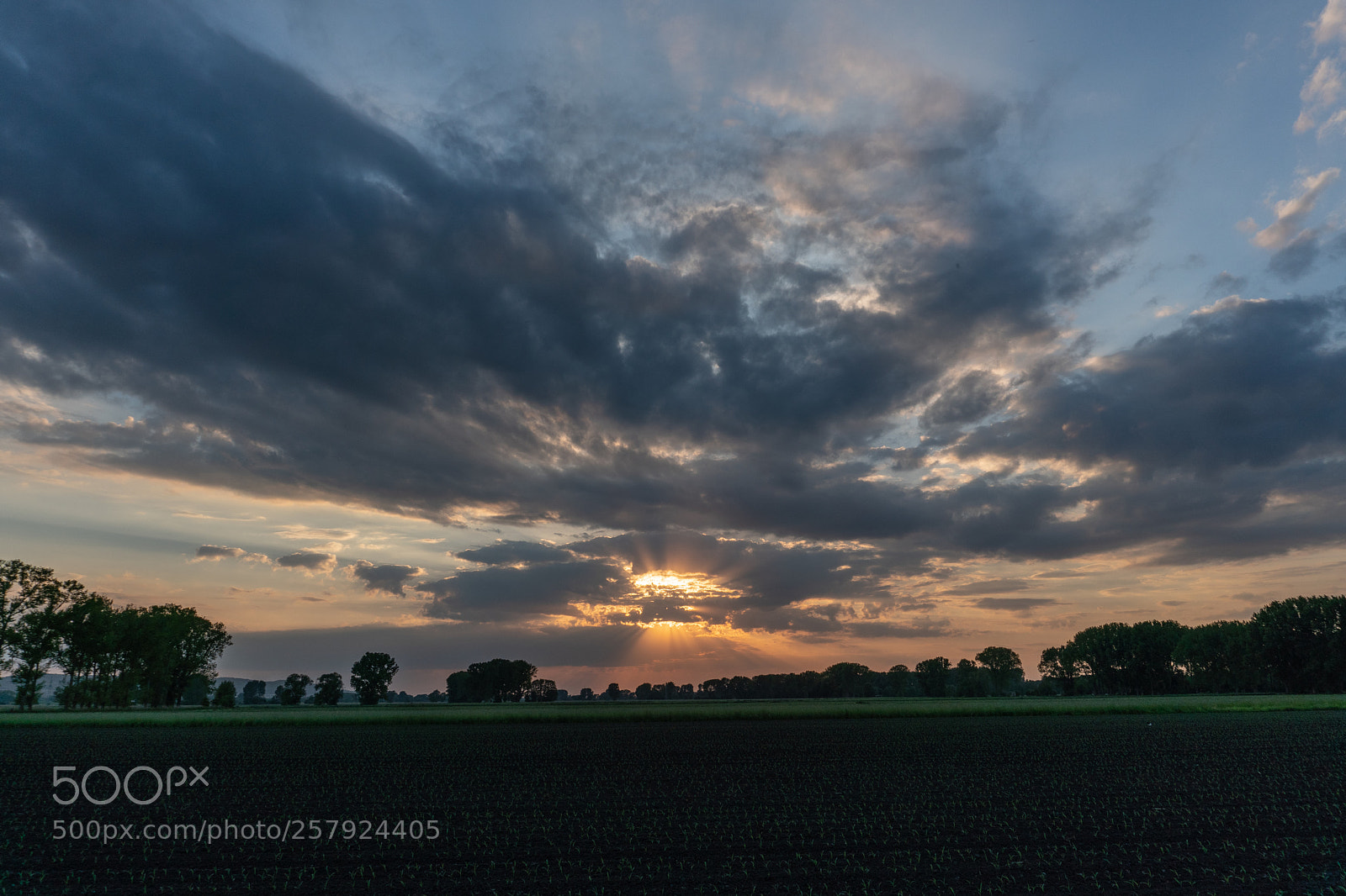 Sony a6300 sample photo. Die wolke photography