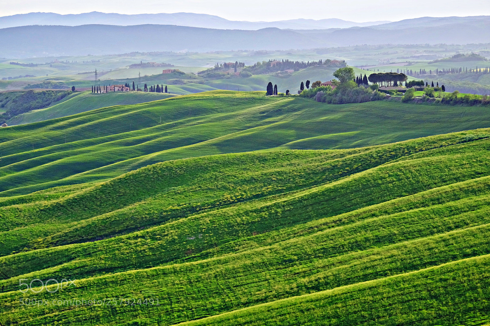 Fujifilm X-M1 sample photo. Sienese countryside photography