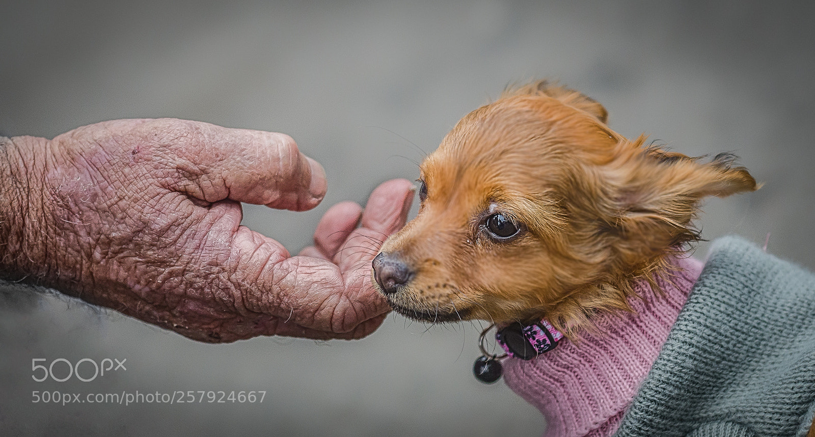 Nikon D7000 sample photo. Tenderness photography