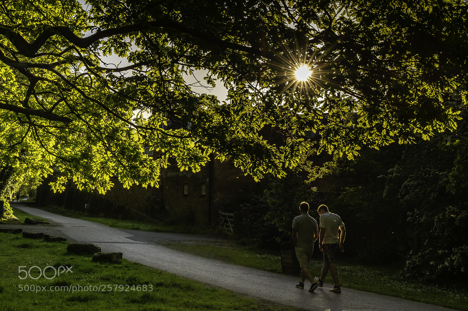 Fujifilm X-H1 sample photo. Strolling... photography