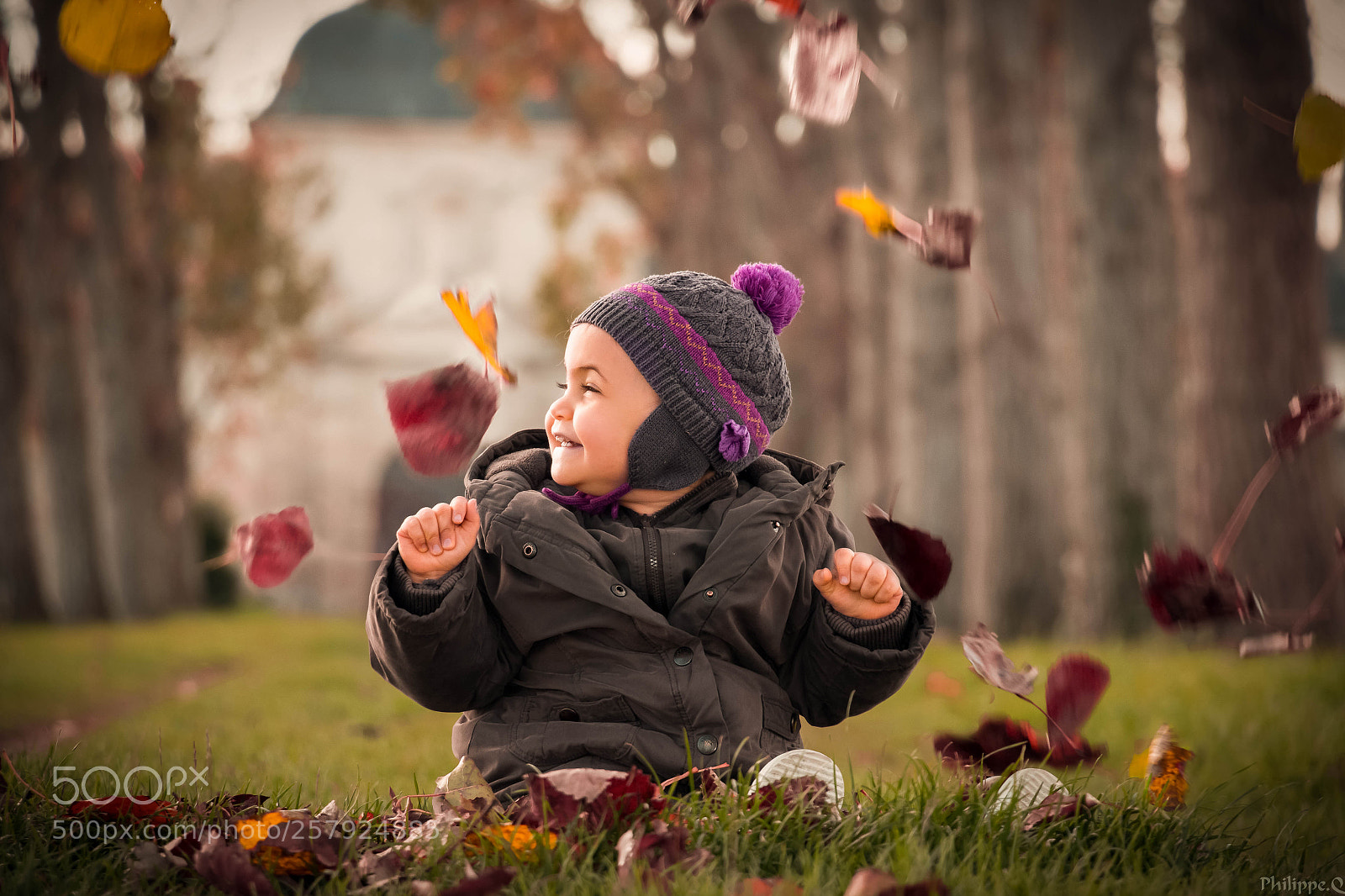 Canon EOS 70D sample photo. Jade automne finale photography