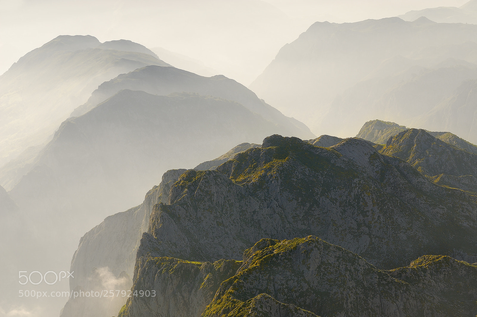 Nikon D200 sample photo. Covadonga misty mountains photography